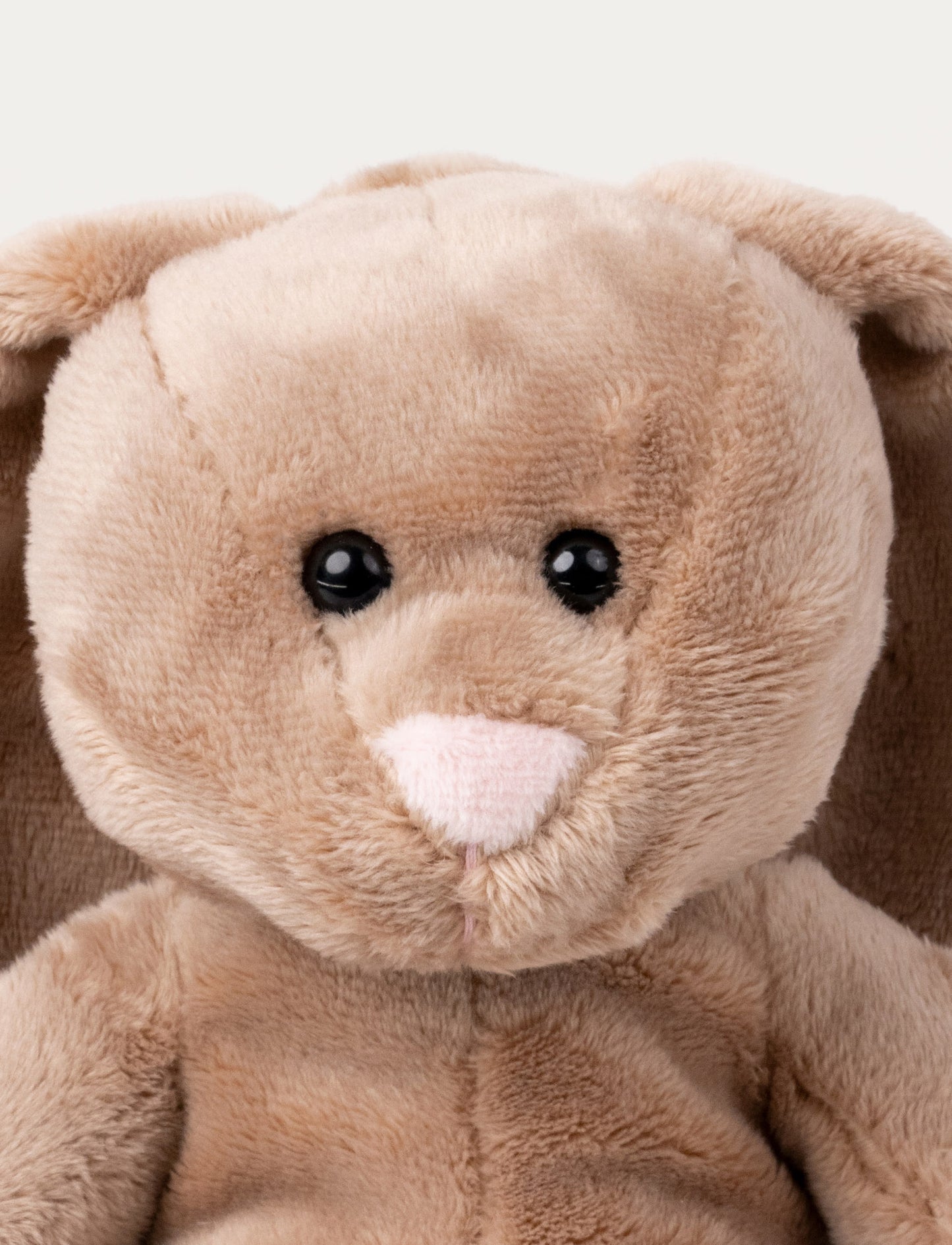 Wilma, Bunny