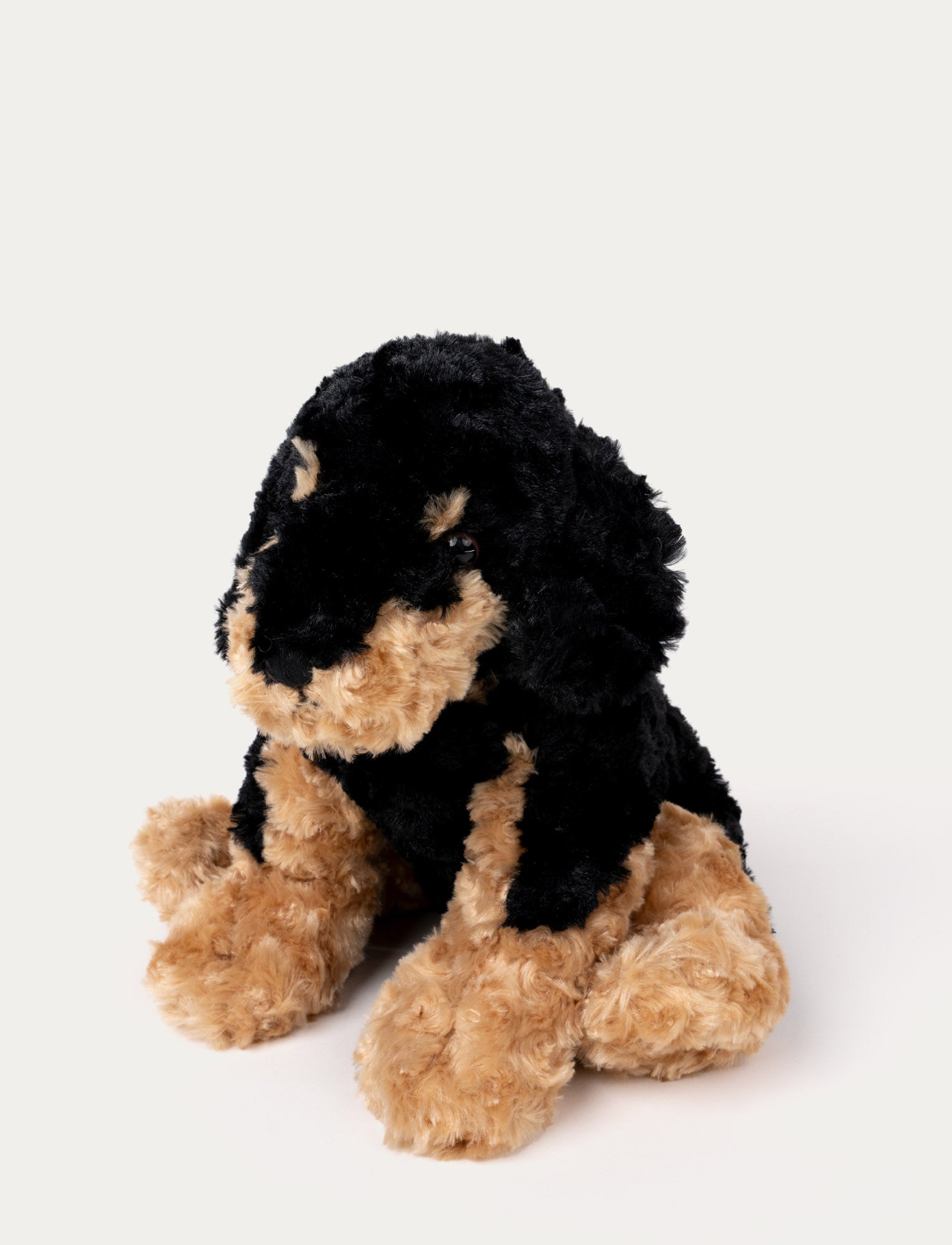  Image of Vovve, Hund