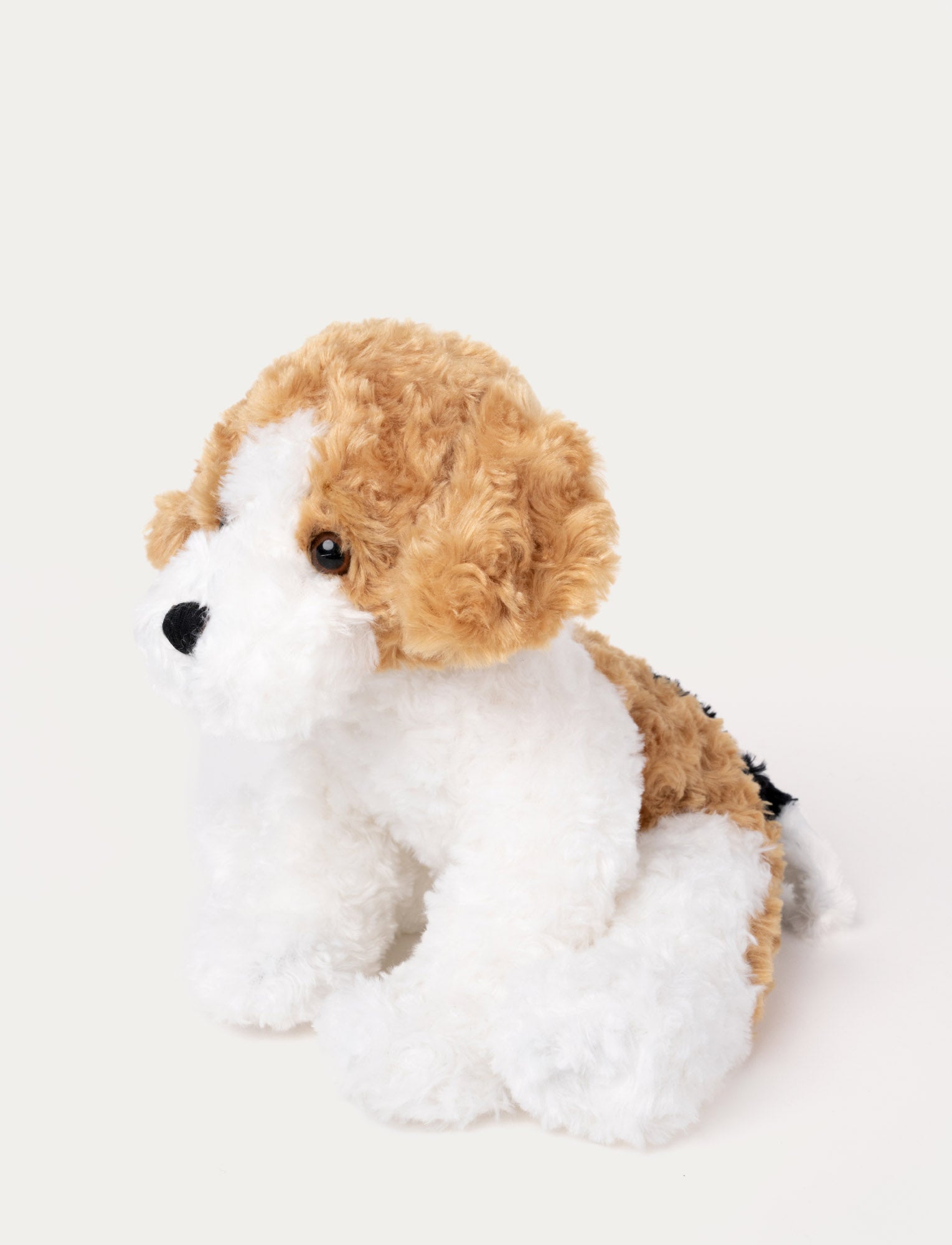  Image of Vovve, Hund