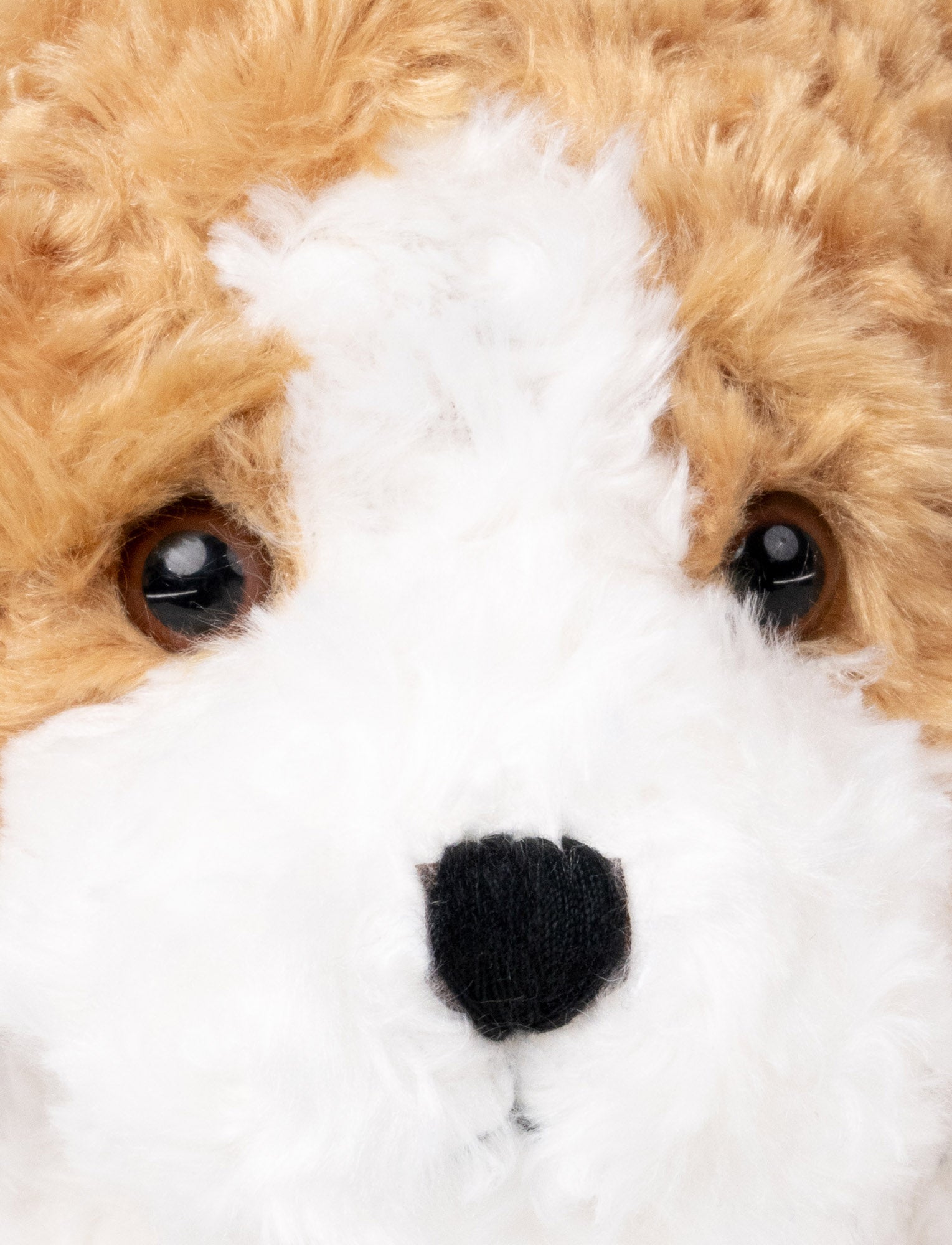  Image of Vovve, Hund