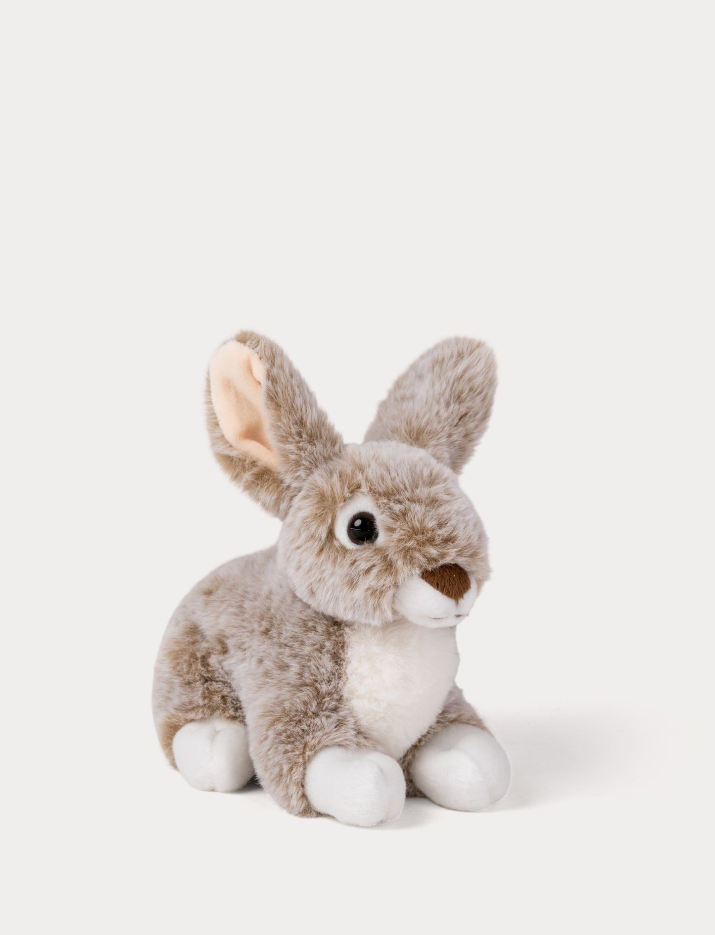 Brown plush toy rabbit on a white background