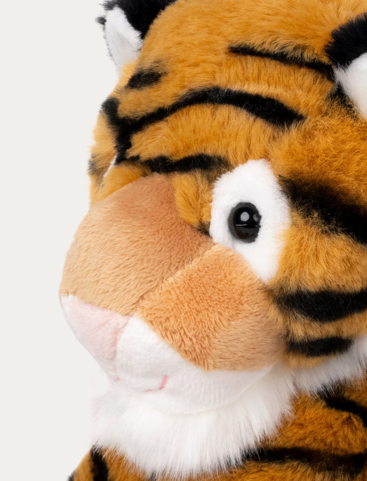 Teddy Wild, Tiger