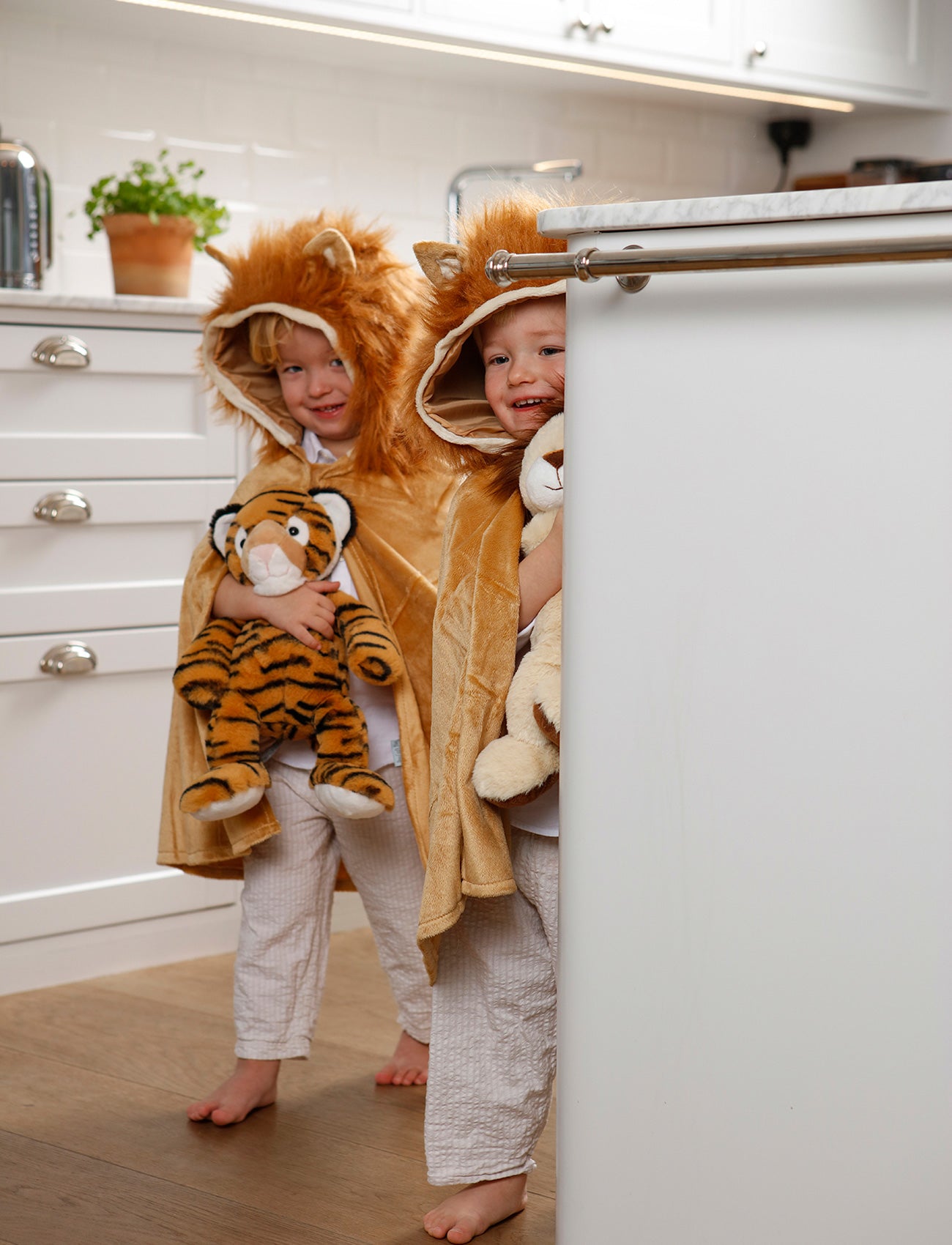 Teddy Wild, Tiger