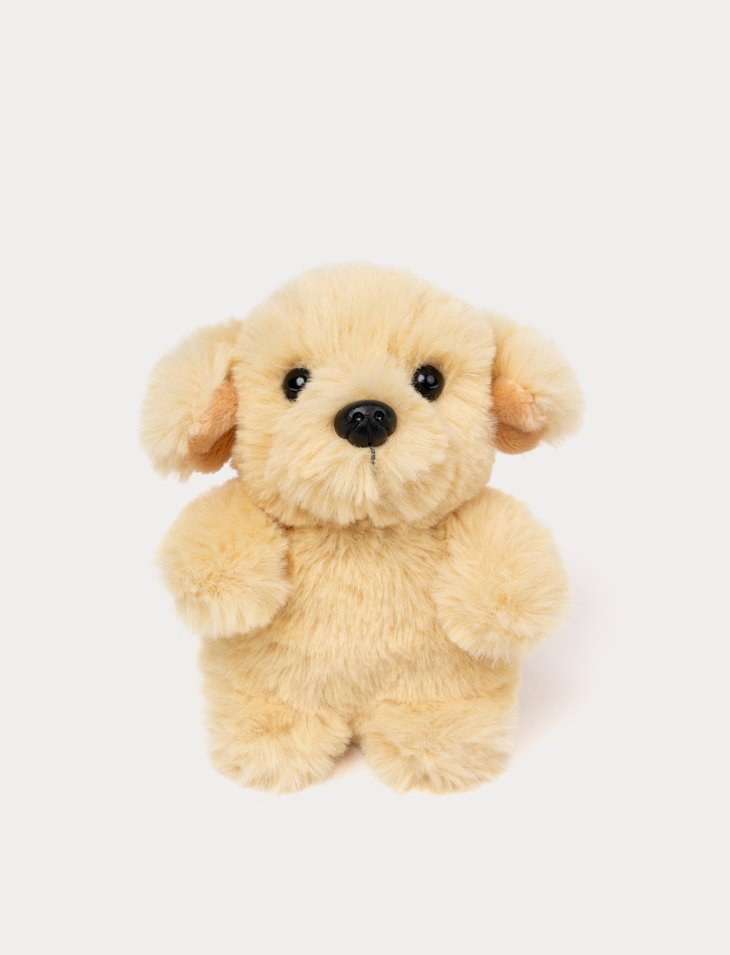 Beige Plush toy dog on a white background