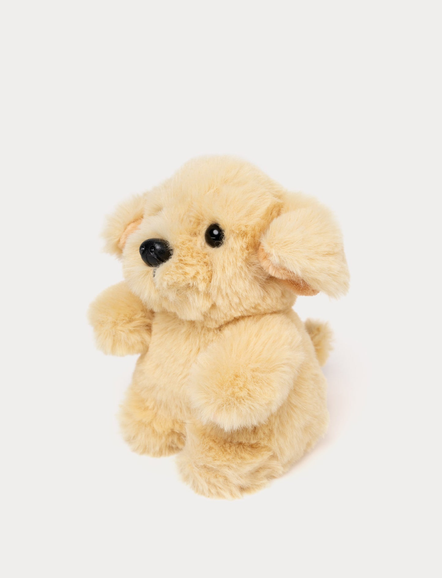 Teddy Dogs, Small