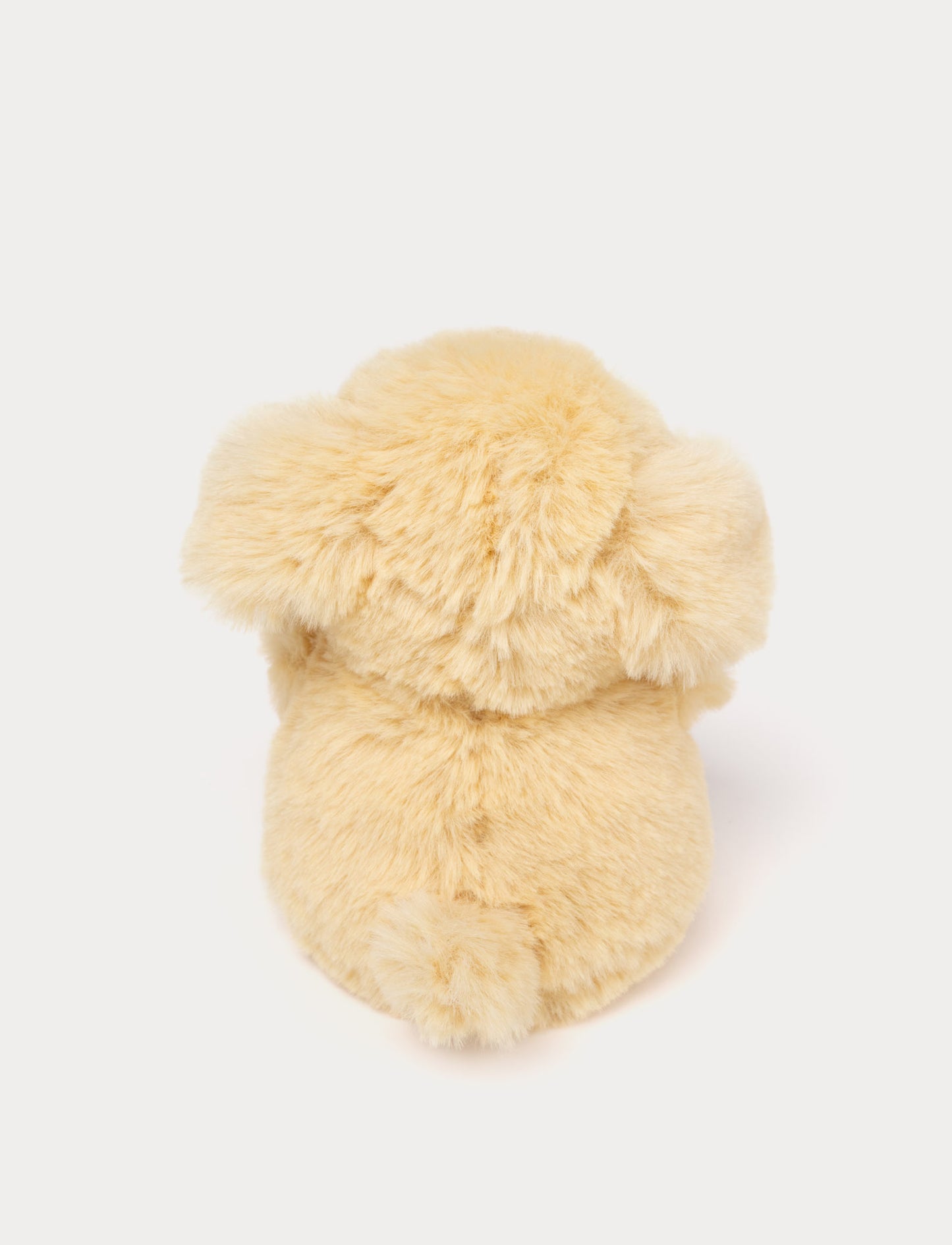 Teddy Dogs, Small