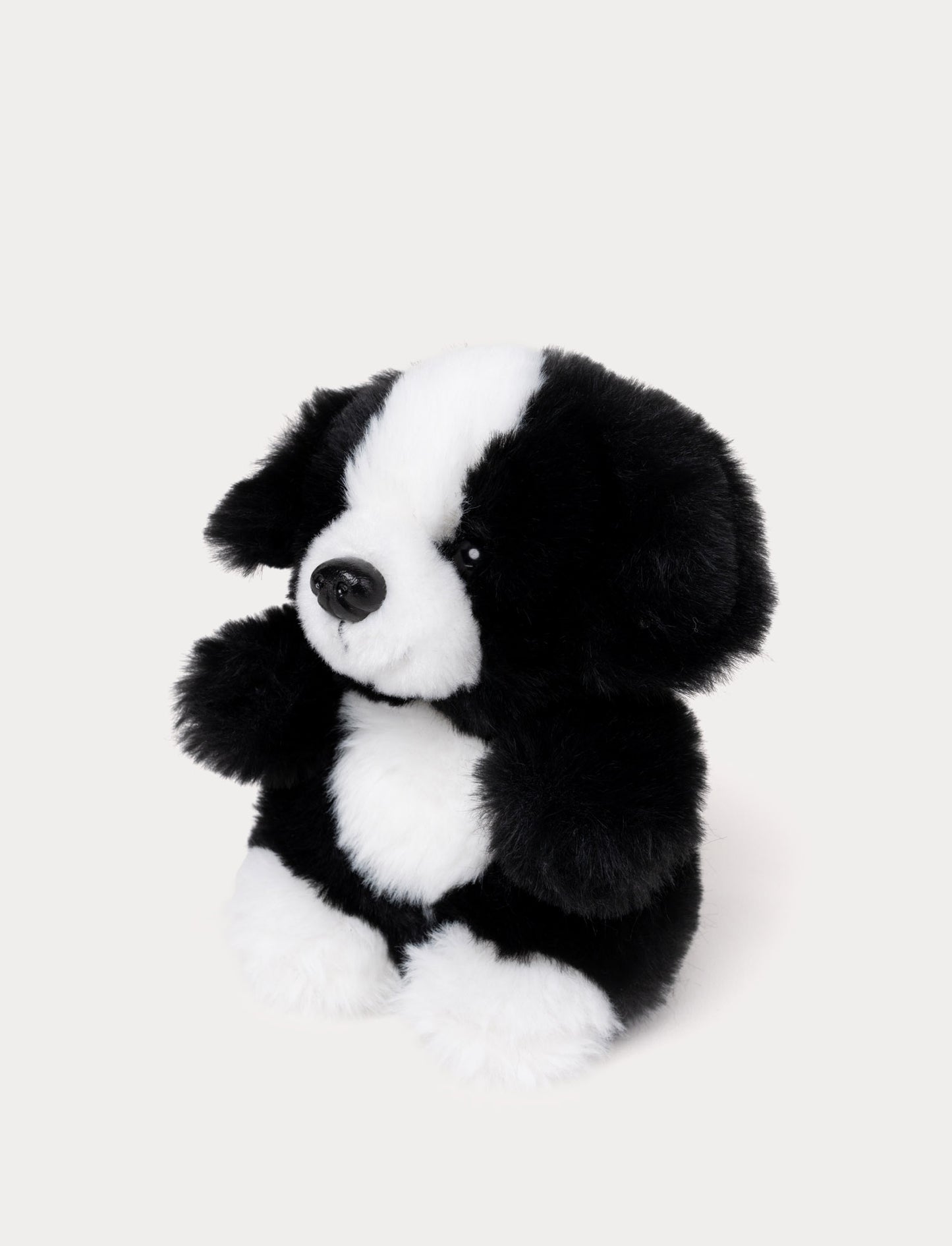 Teddy Dogs, Small