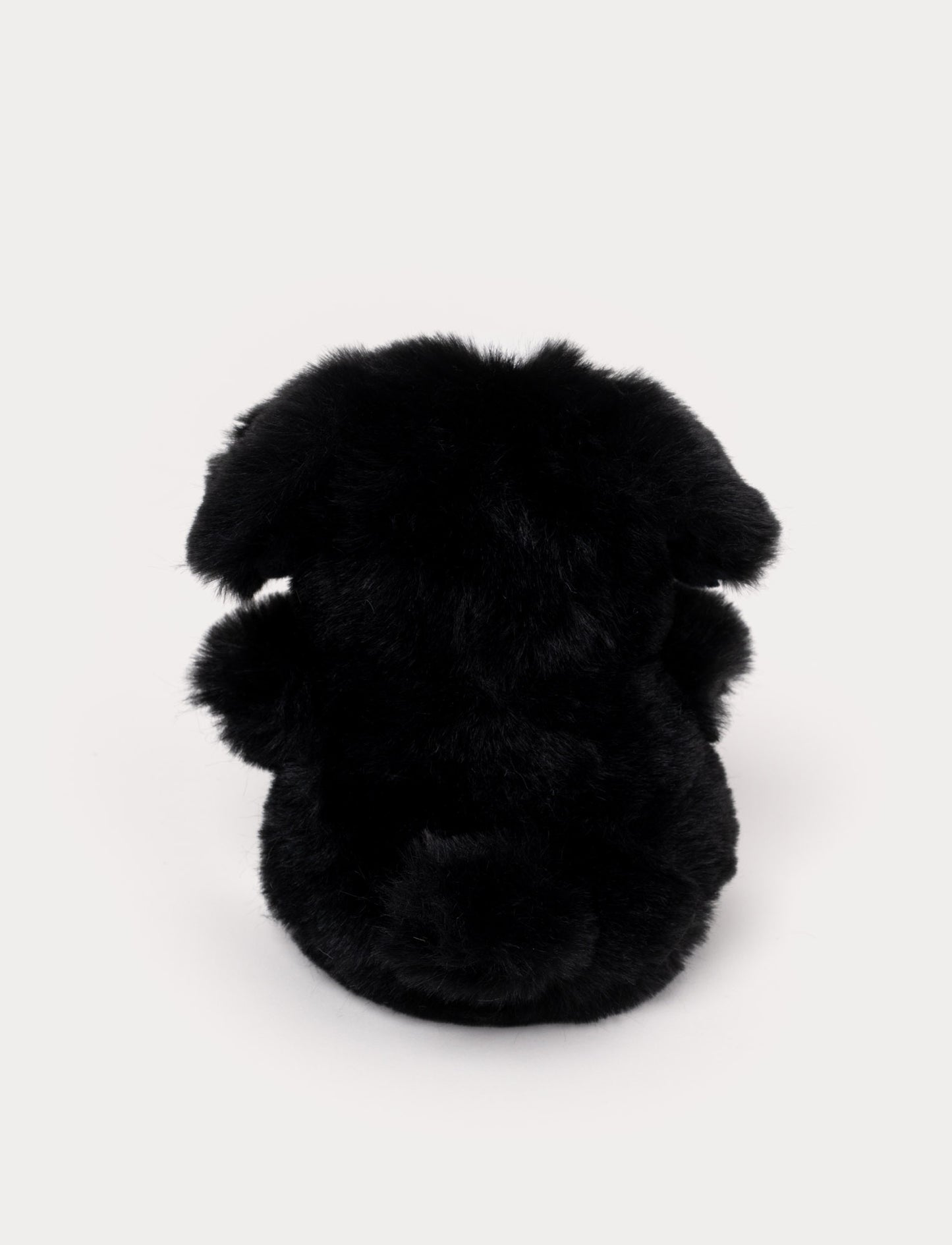 Teddy Dogs, Small