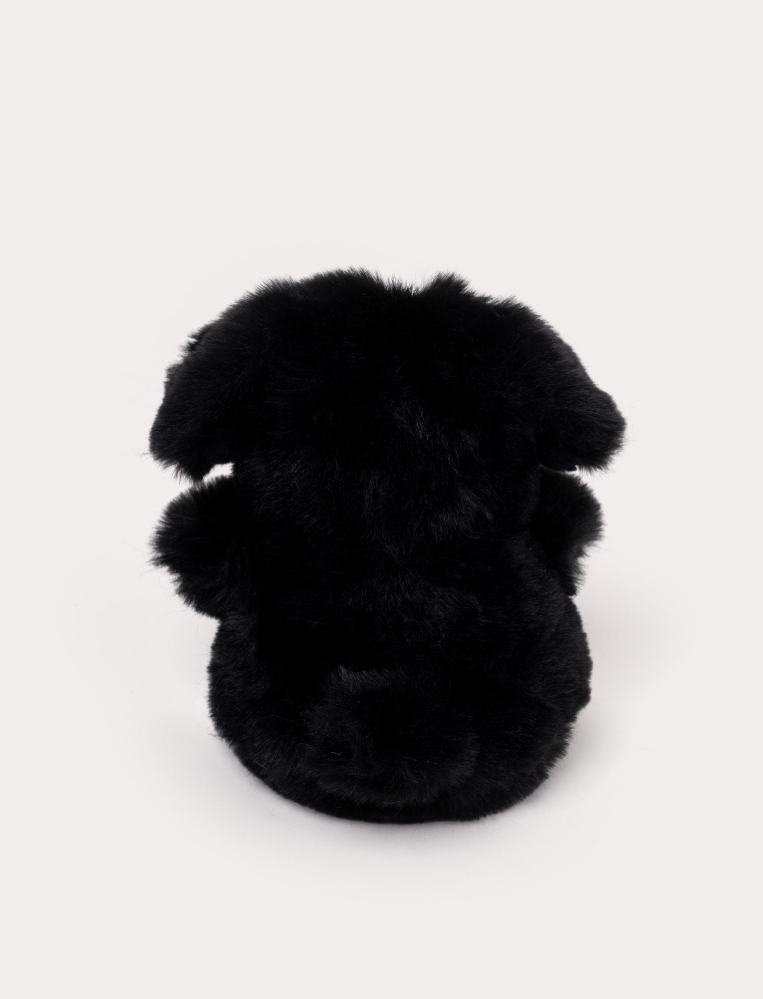  Image of Teddy Dogs, Liten