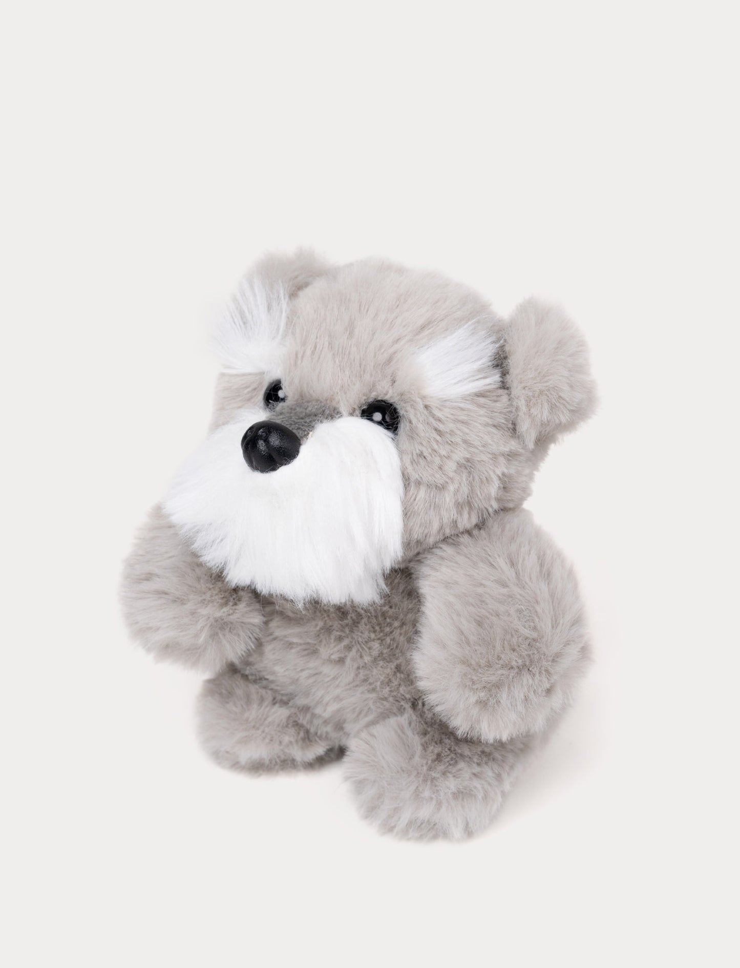 Teddy Dogs, Small