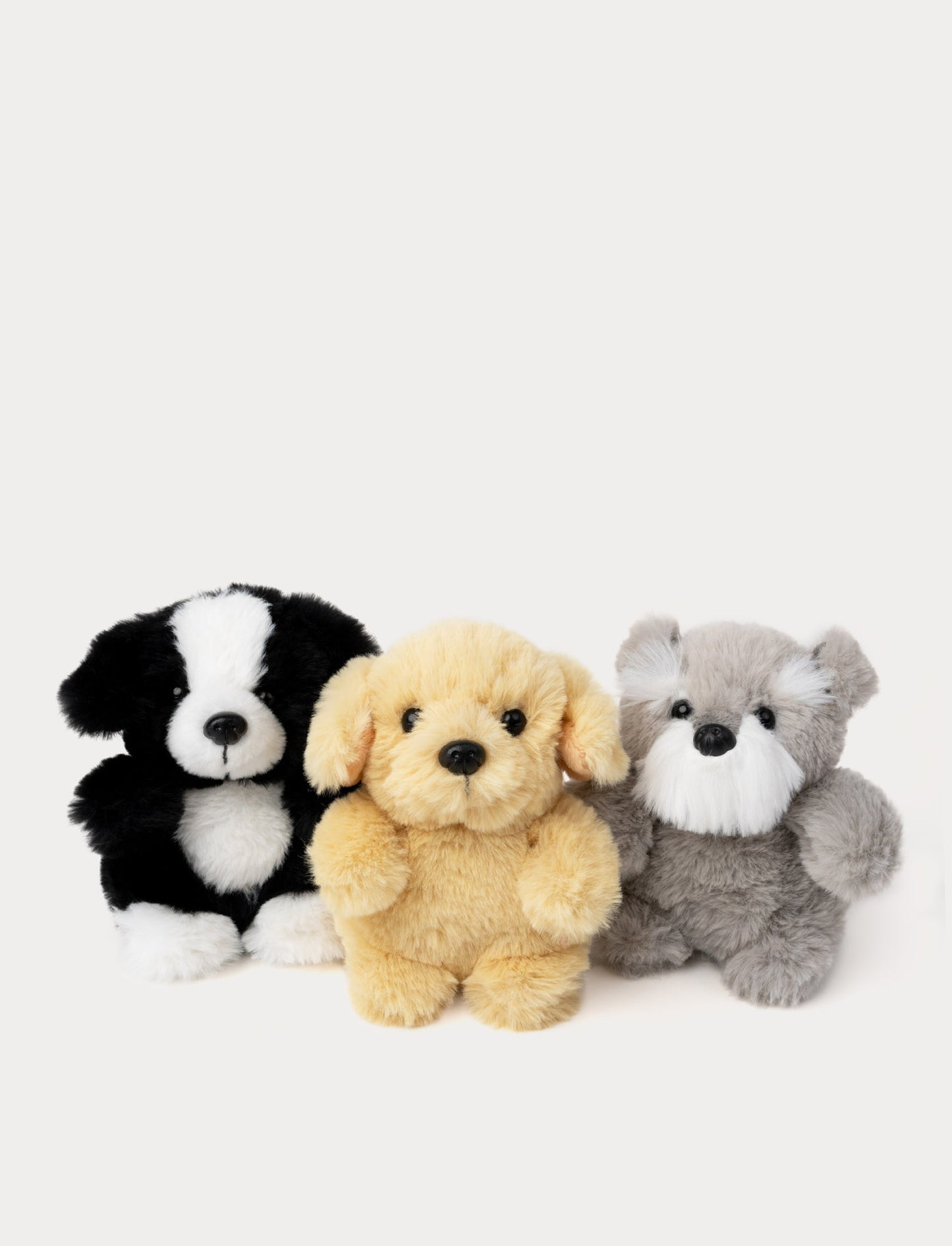 Teddy Dogs, Small