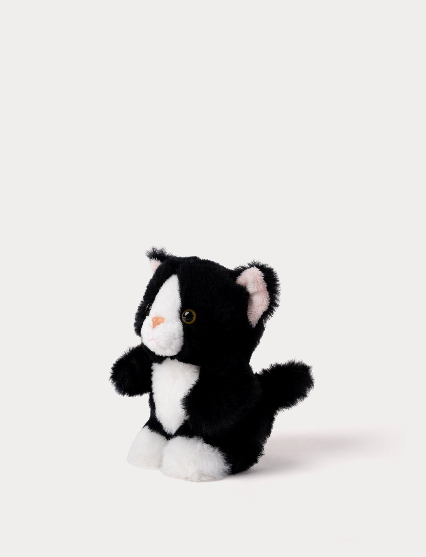 Teddy Cats, Liten