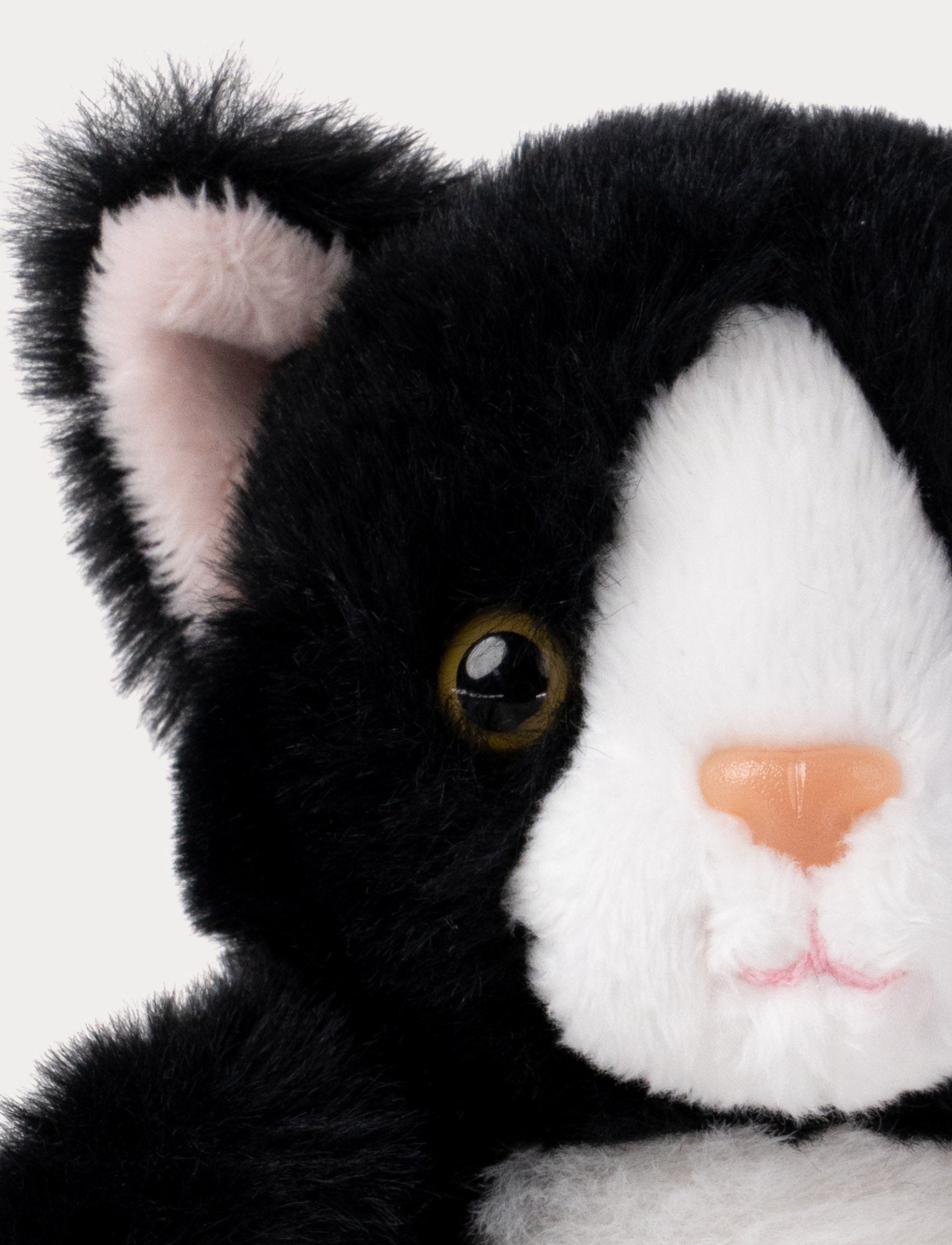  Image of Teddy Cats, Liten