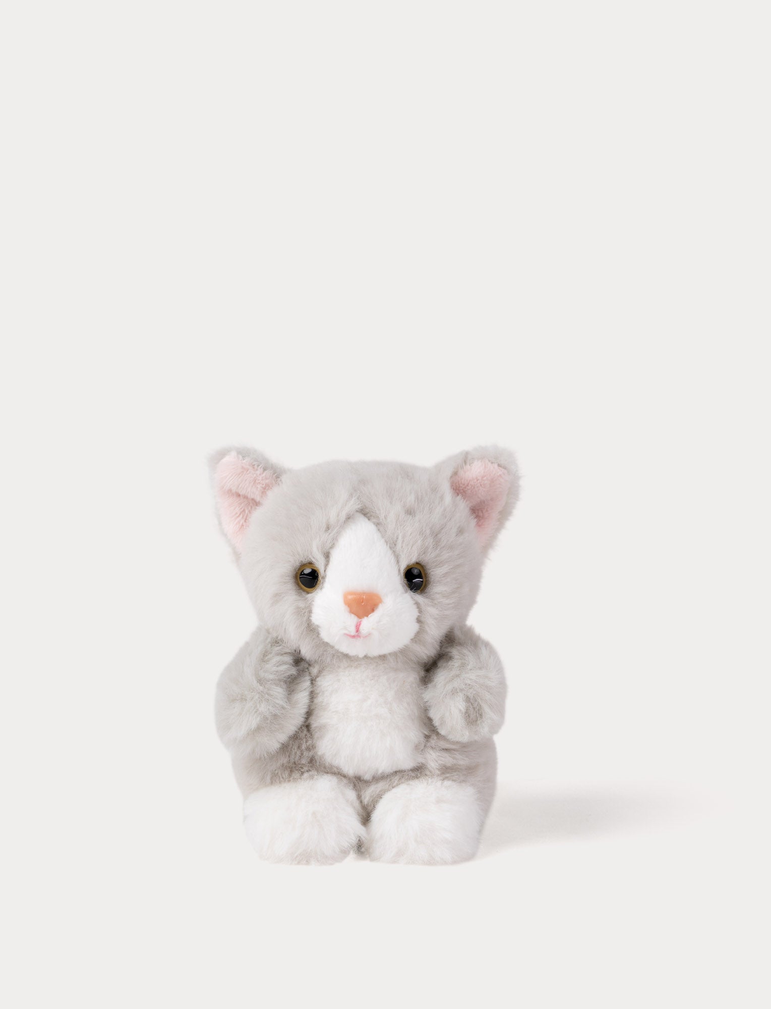  Image of Small grey plush toy cat on a white background