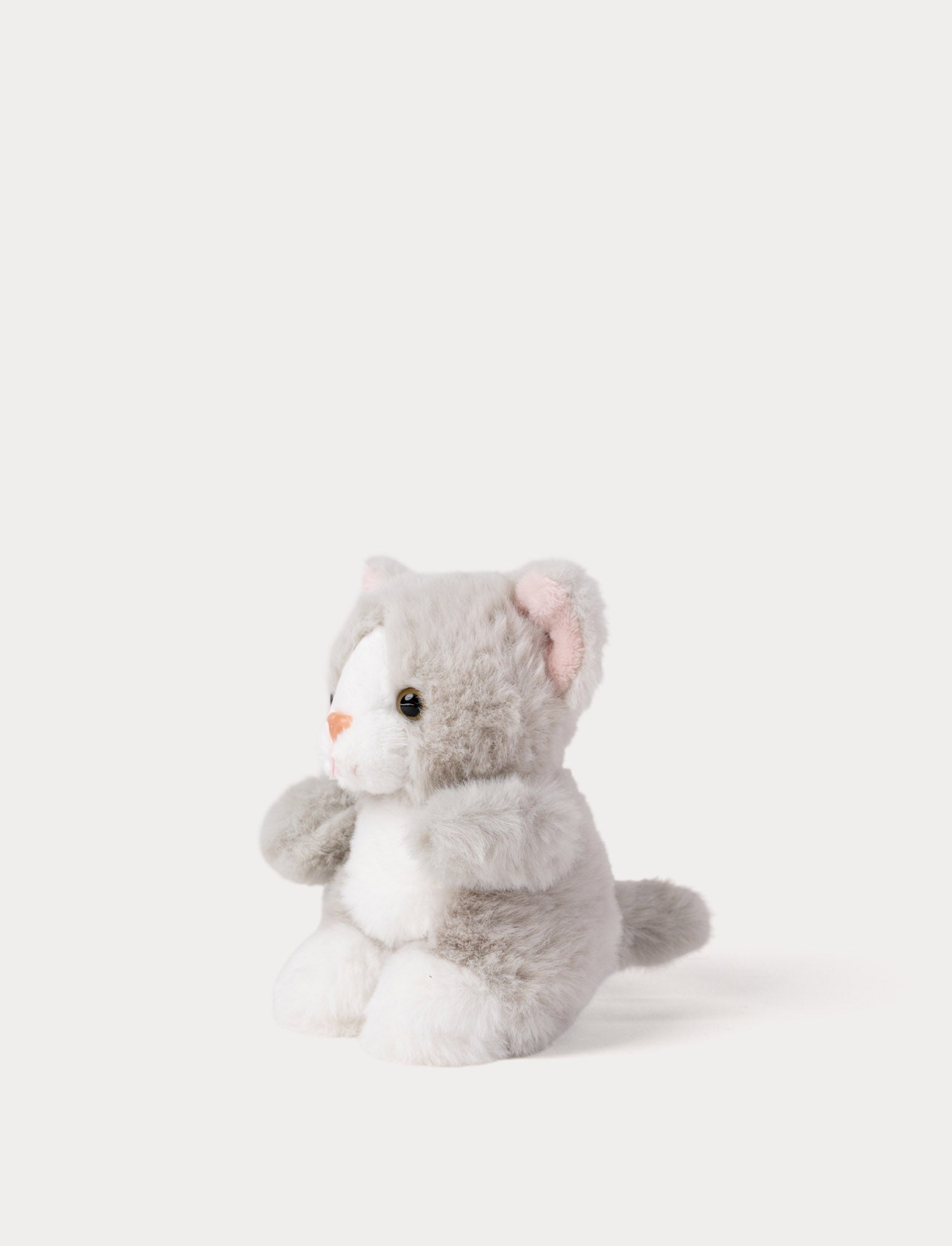  Image of Teddy Cats, Liten