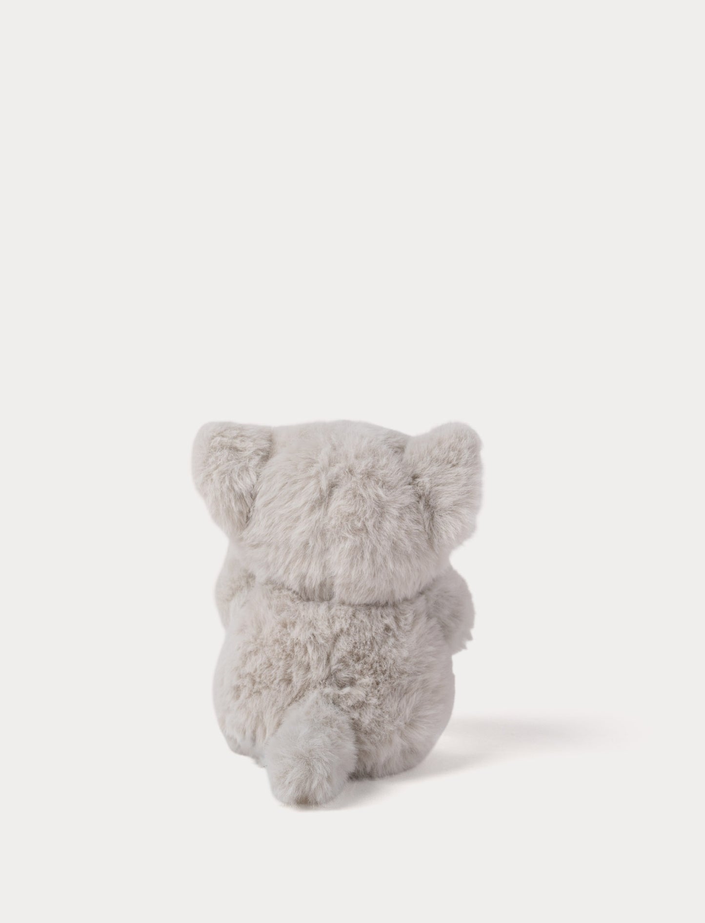 Teddy Cats, Liten
