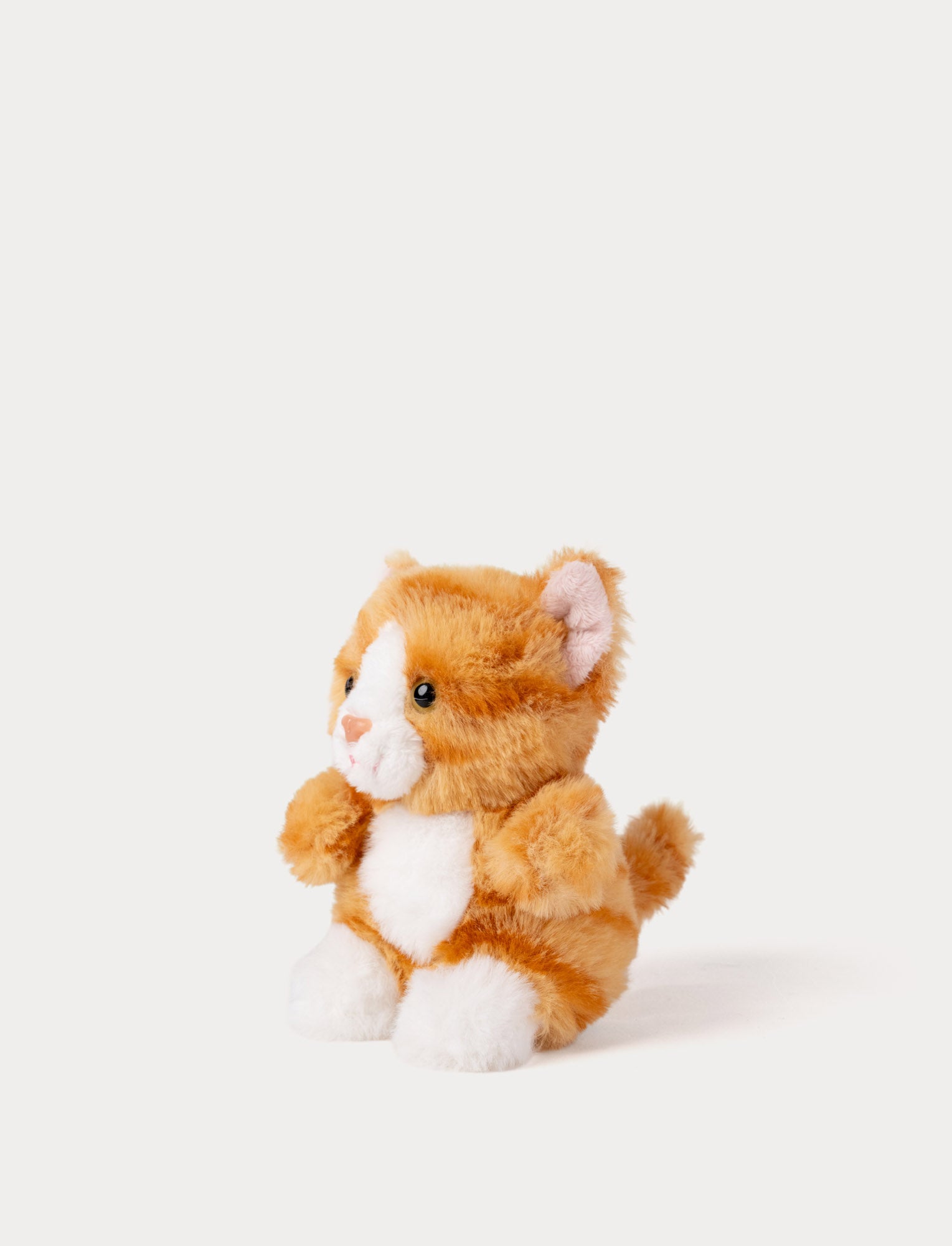  Image of Teddy Cats, Liten