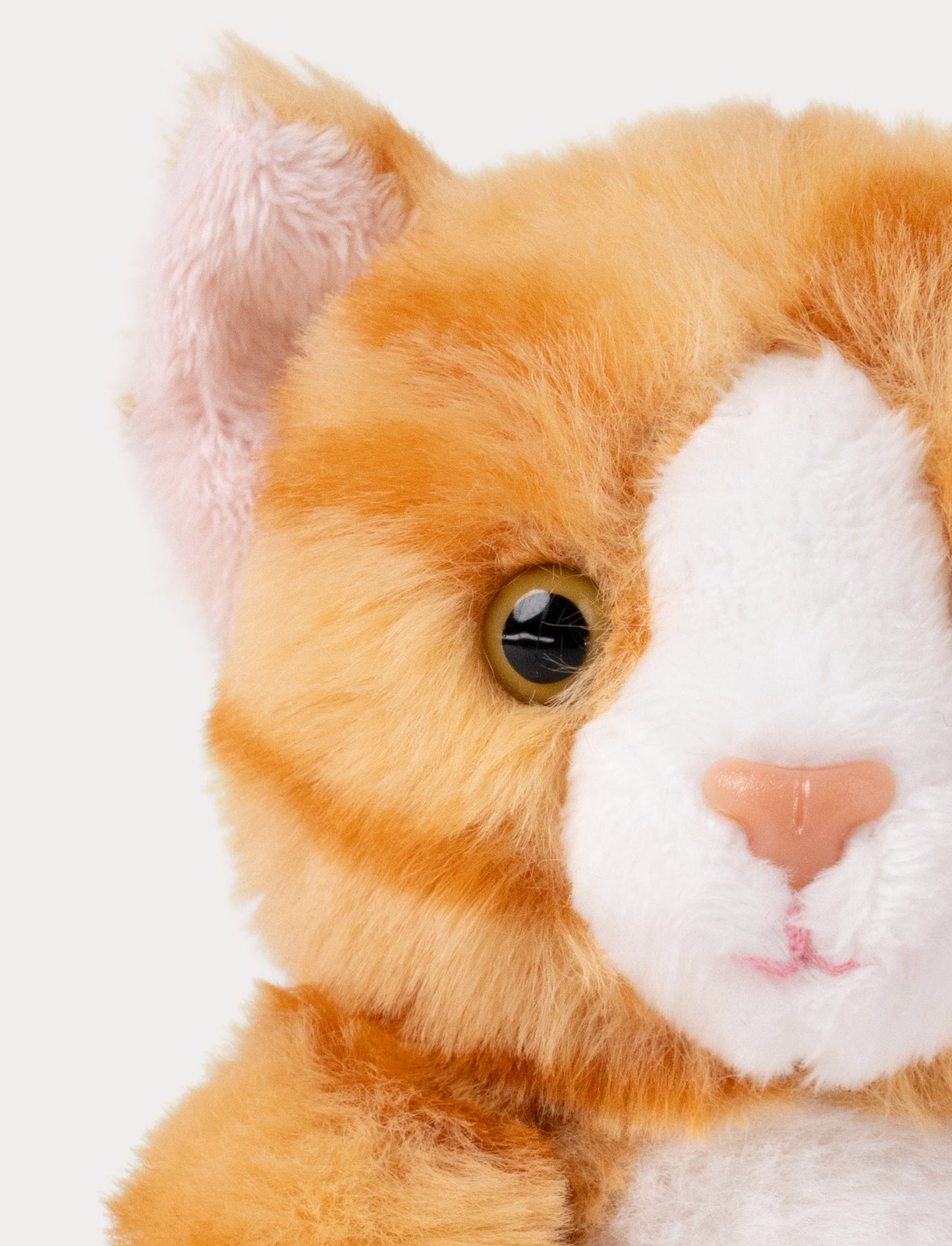 Teddy Cats, Liten