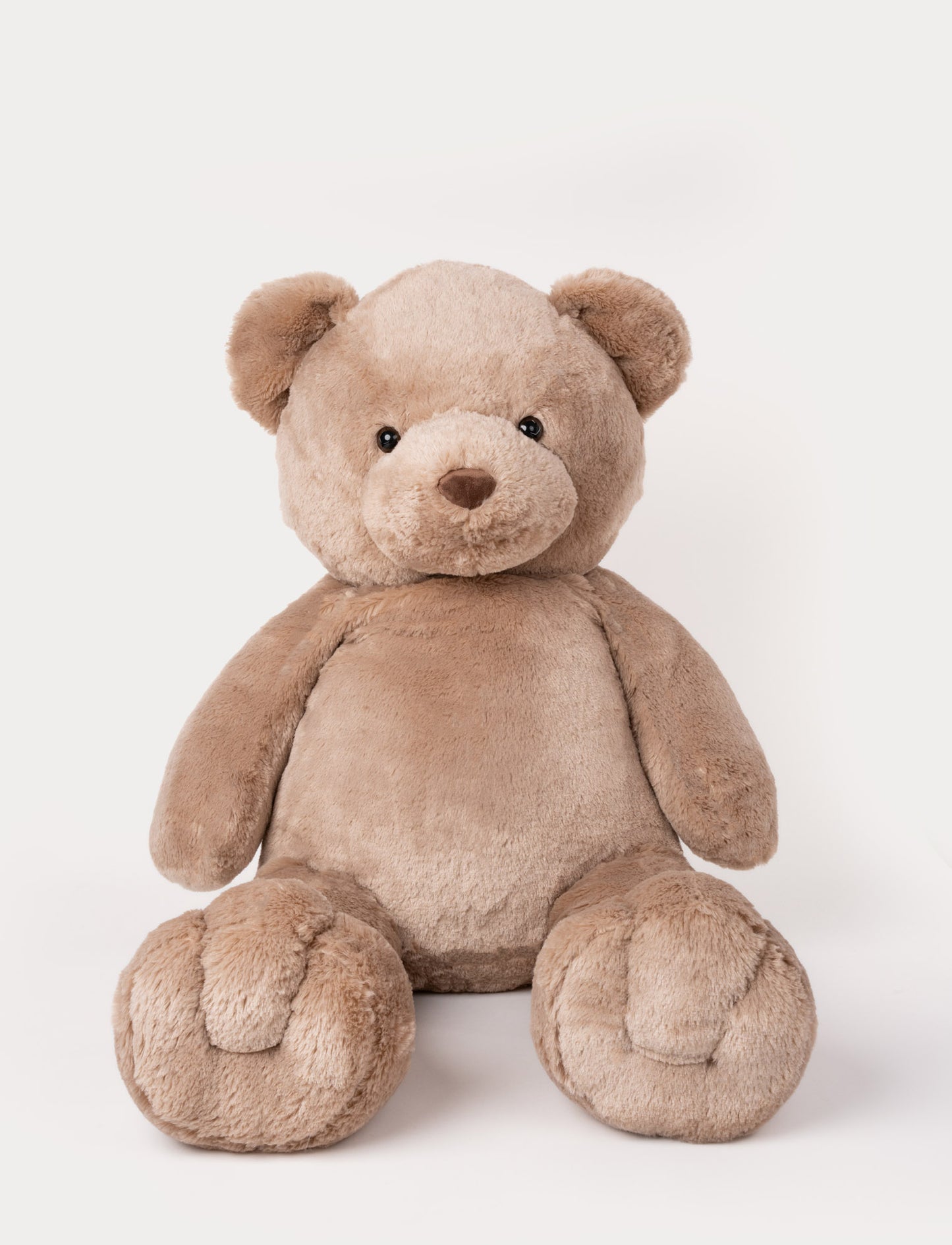 Large, light brown teddy bear sitting upright with soft fur, round ears, and a gentle expression.