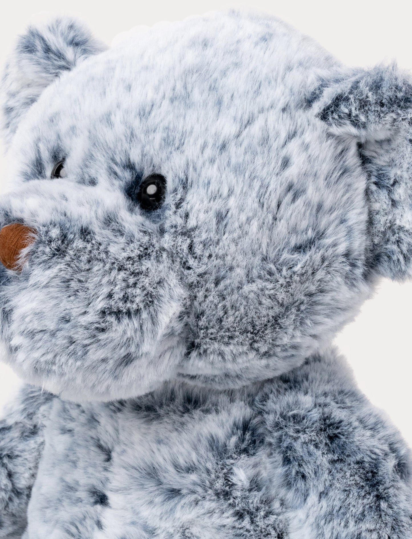 Billy Blueberry, Teddy Bear, Big