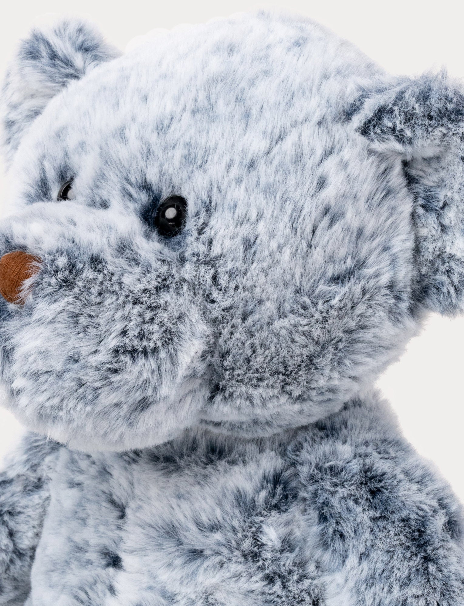  Image of Billy Blueberry, Teddy Bear, Big