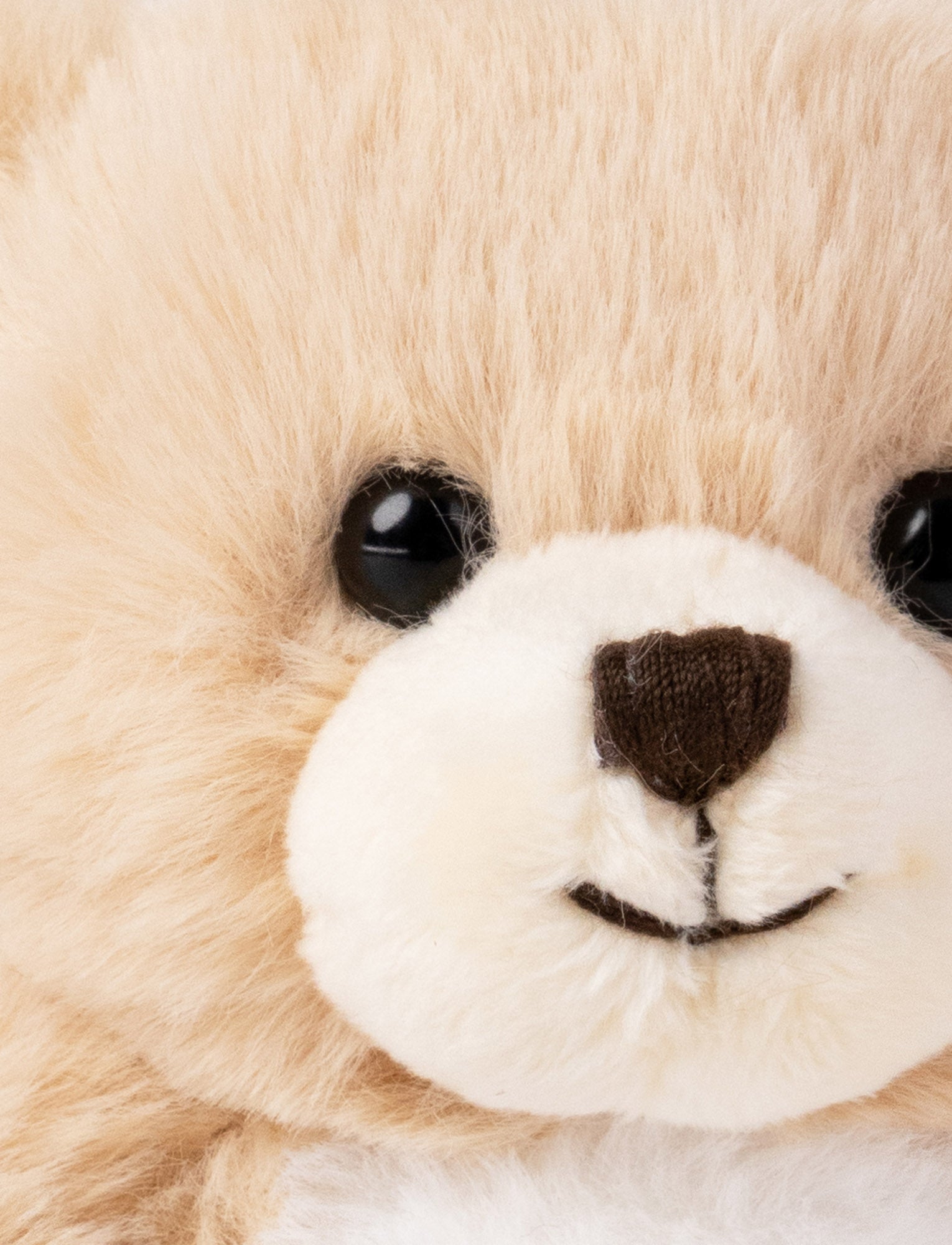  Image of Teddy Bears, Small