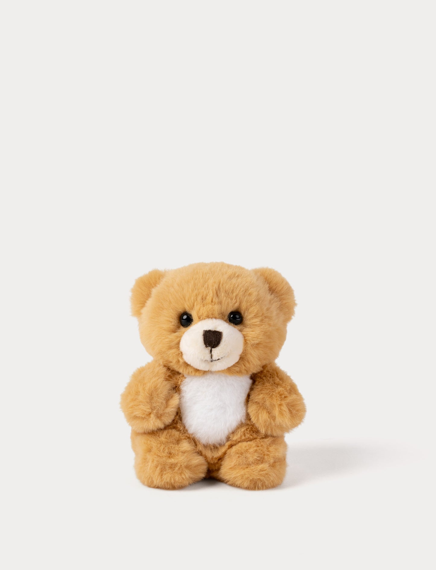 Small brown teddy bear on a white background