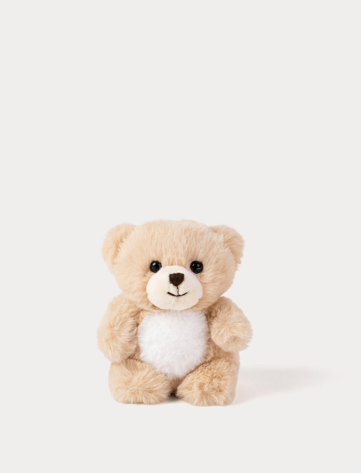 Beige teddy bear on a white background