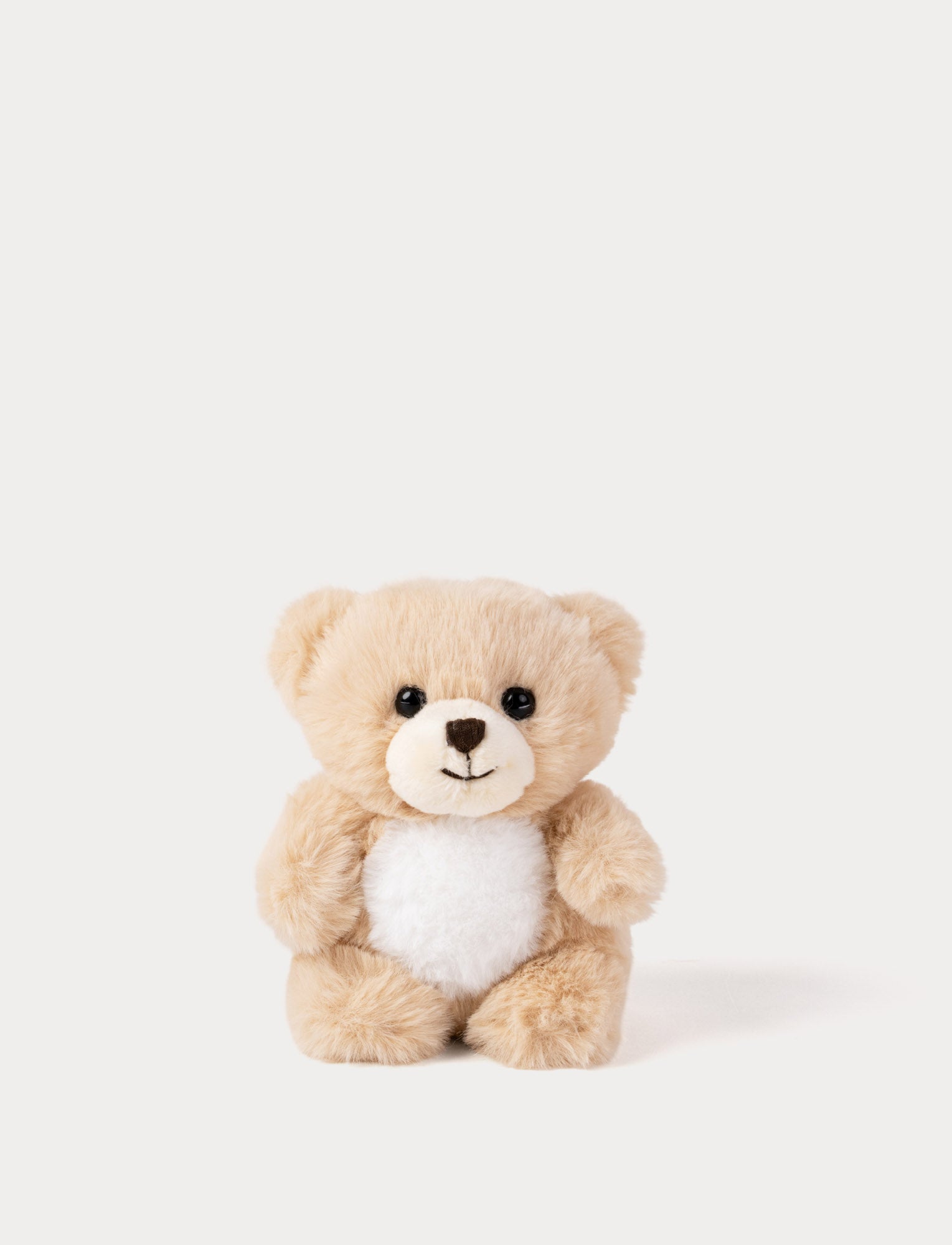  Image of Beige teddy bear on a white background
