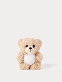 Beige teddy bear on a white background
