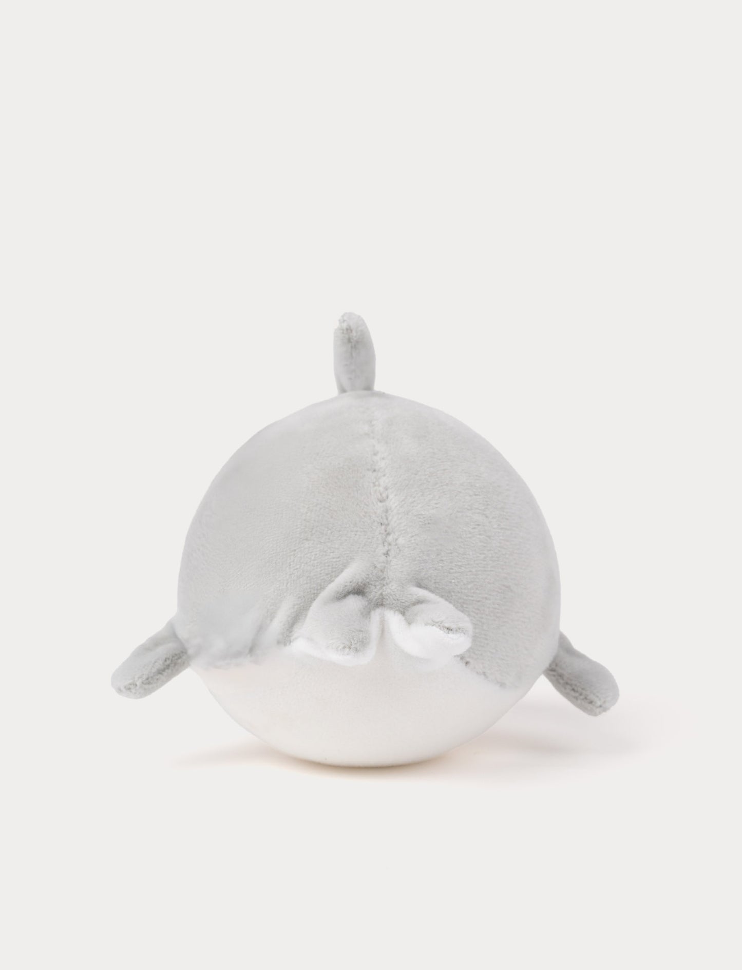 Squeezie, Shark, Small