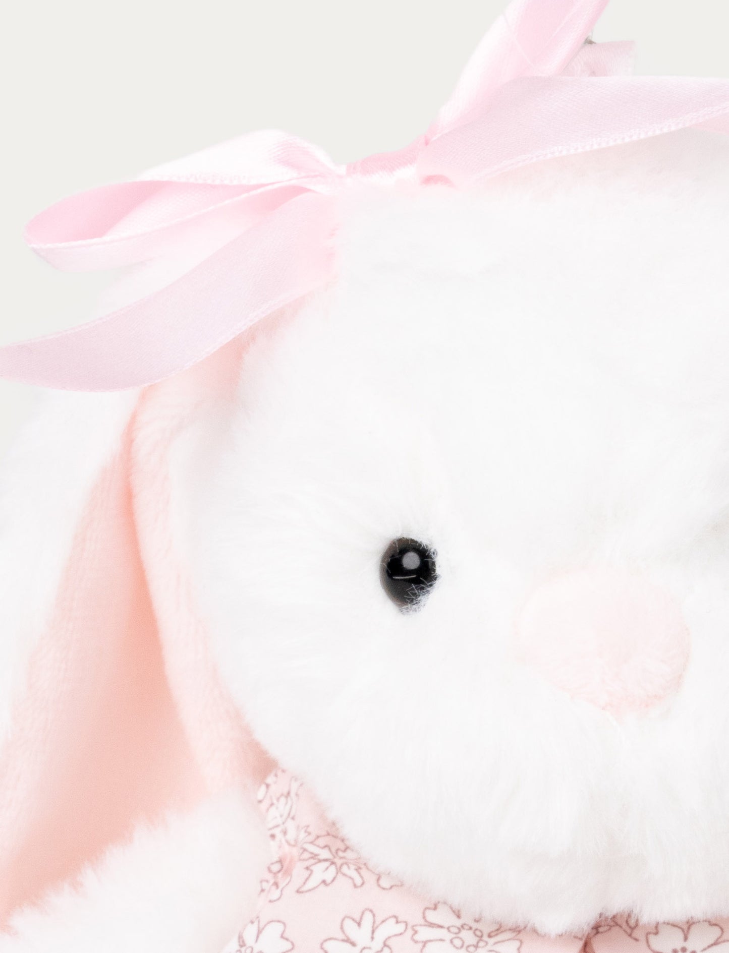 Nova, Bunny