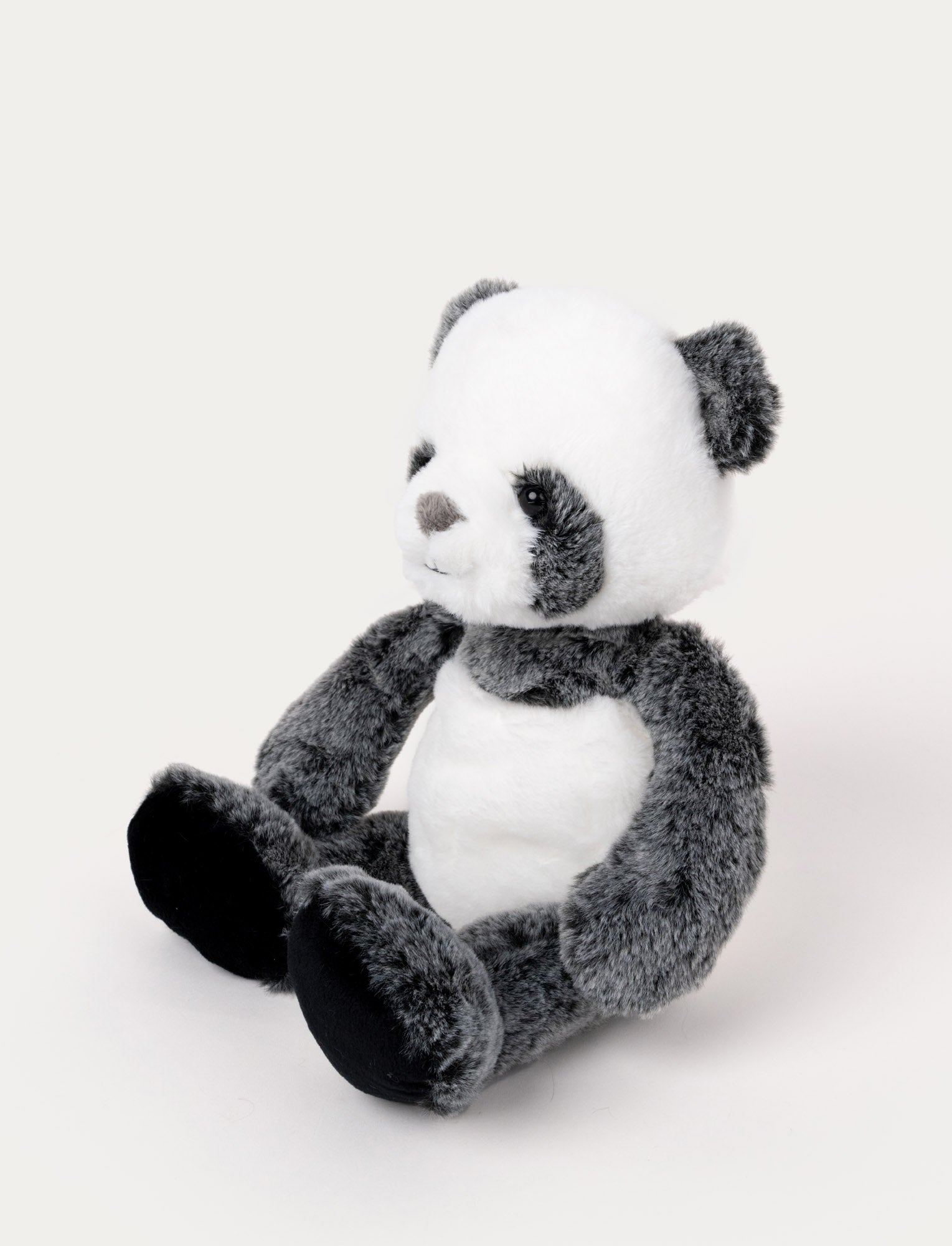  Image of Teddy Wild, Panda