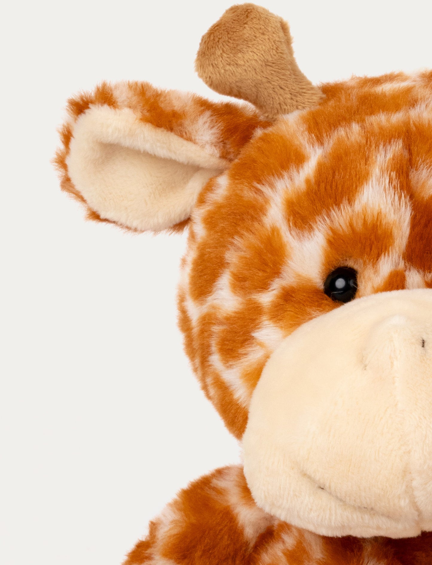Teddy Wild, Giraff 