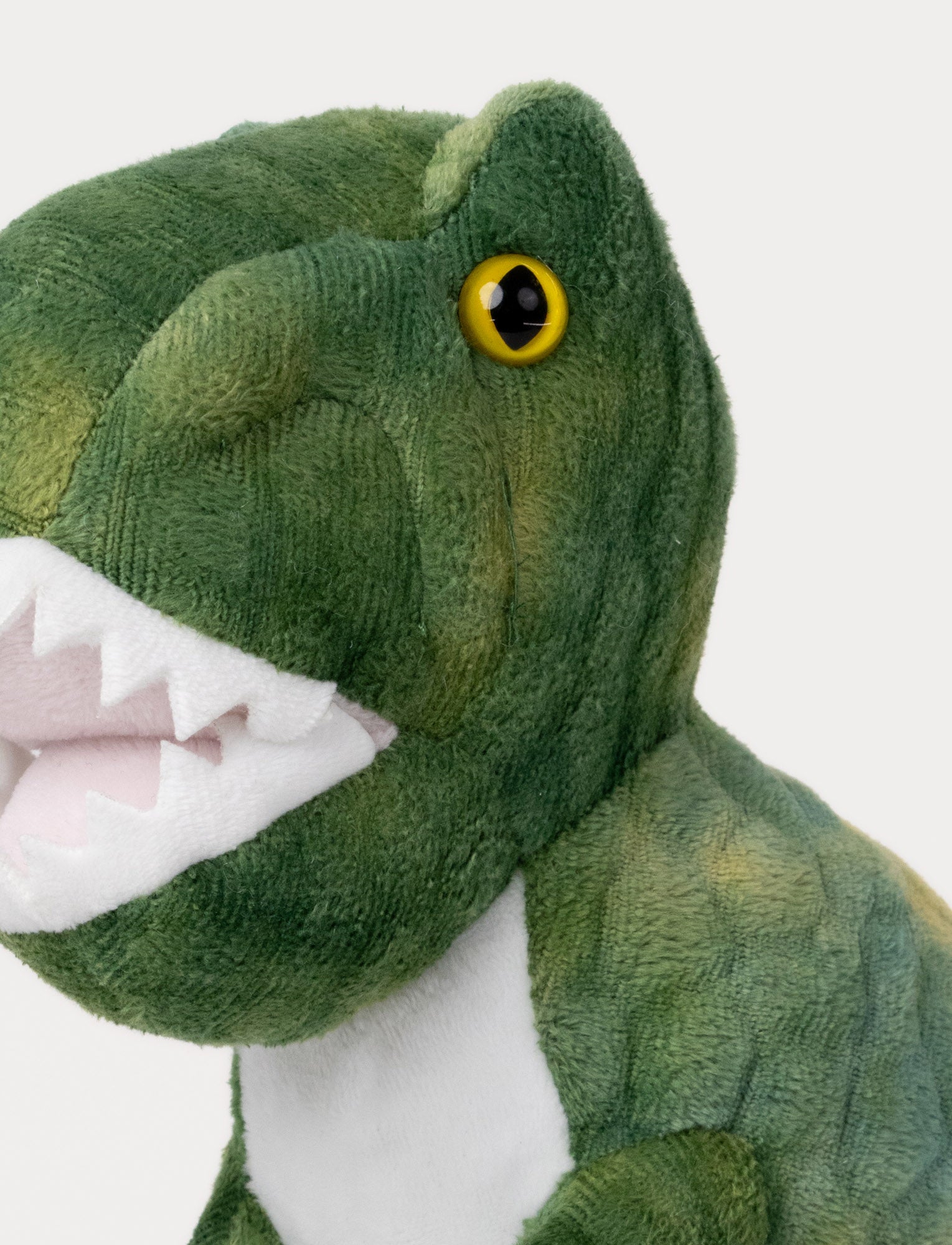  Image of Glow-in-the-Dark Dinosaur