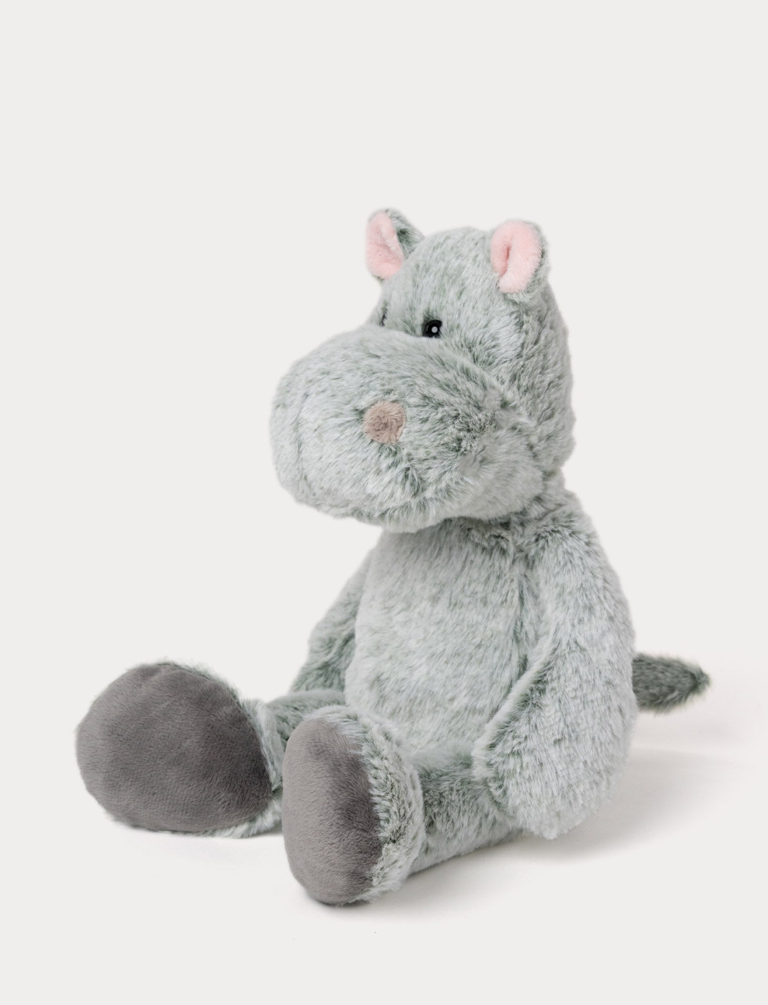  Image of Hippo