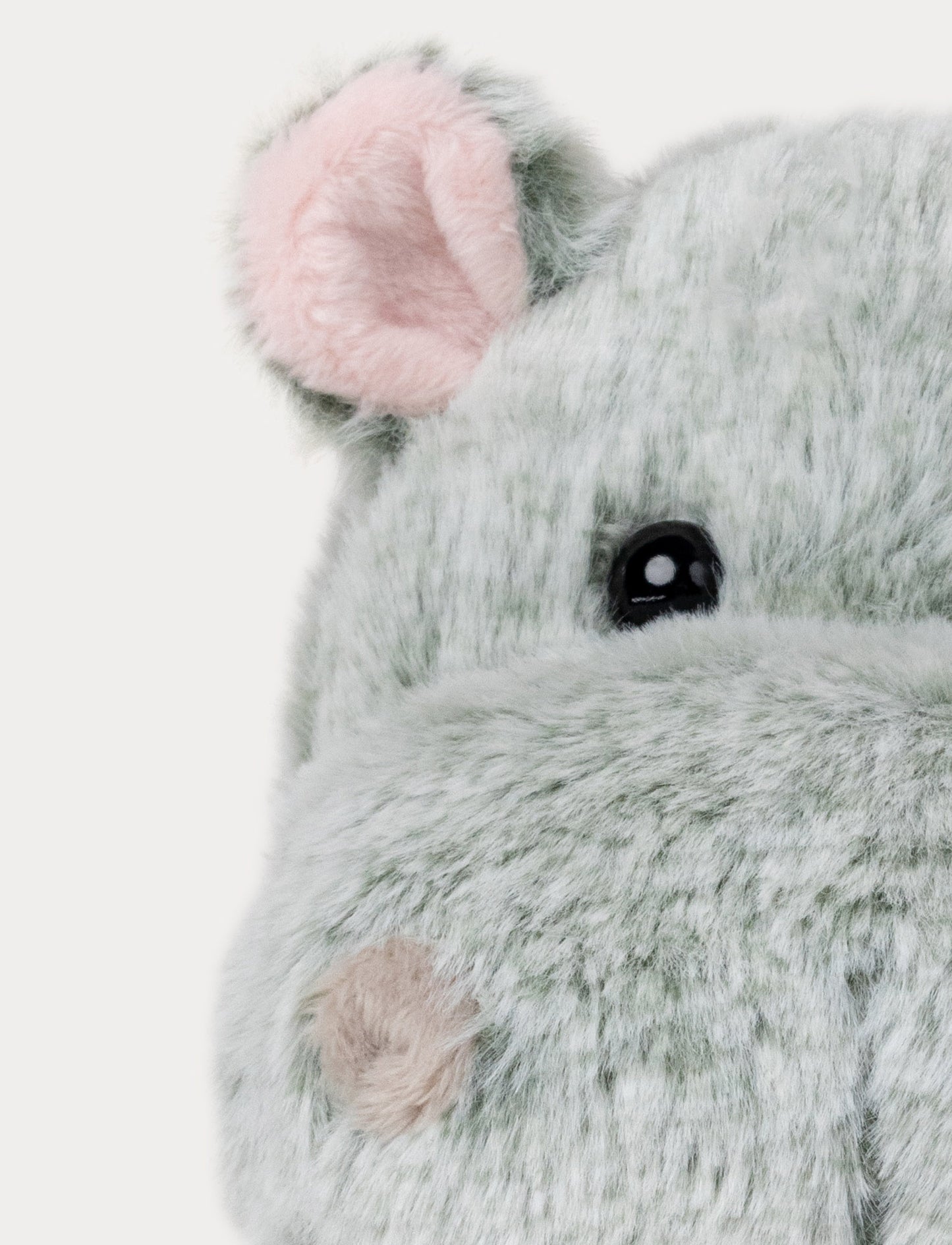 Hippo