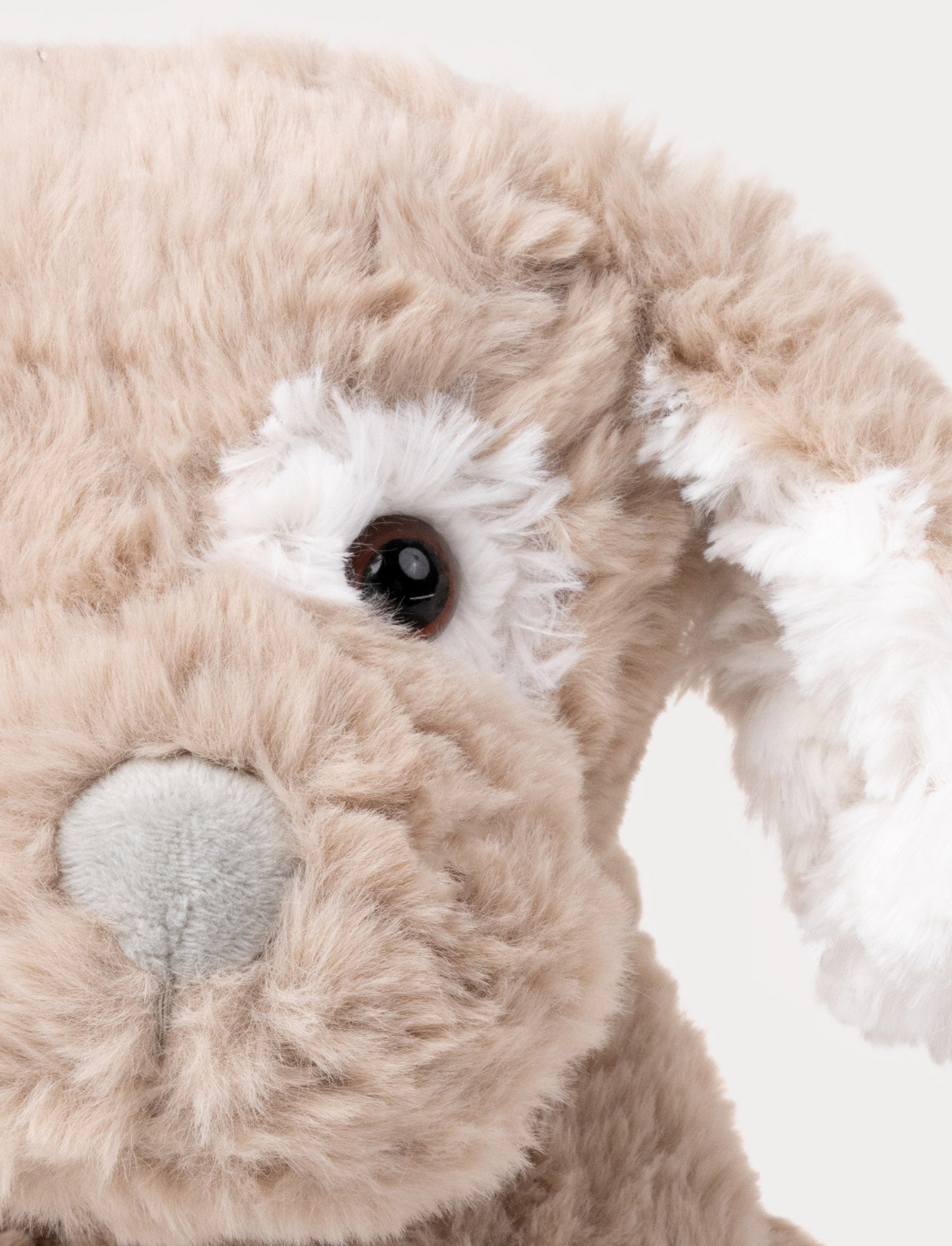Hasse – A Soft and Loyal Friend for All Ages! – Teddykompaniet