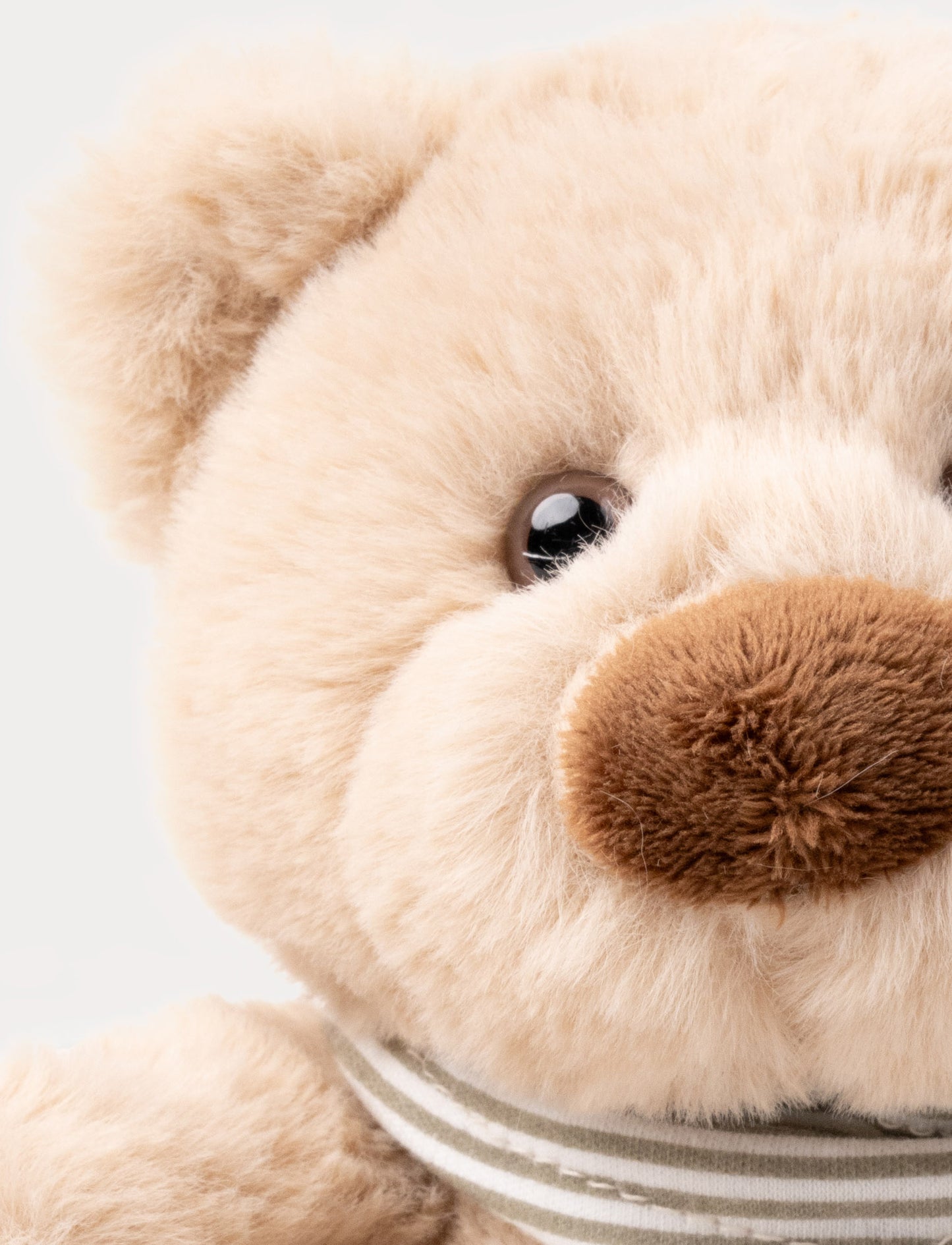 Malte, Teddy Bear, Small