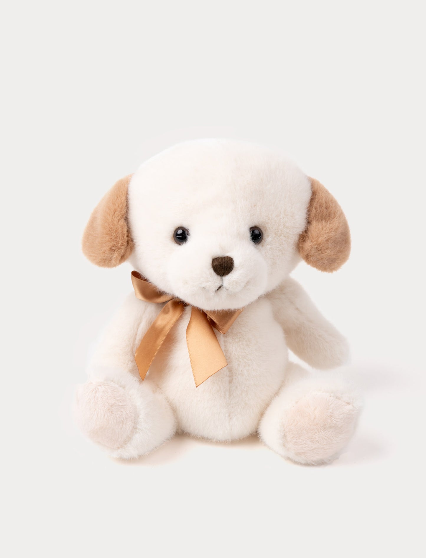 A small cuddly pup with soft fur, a satin bow, and light beige paws.