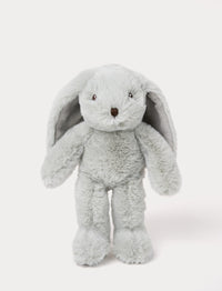 A bunny with soft mint green fur, a brown nose, and a charming expression.