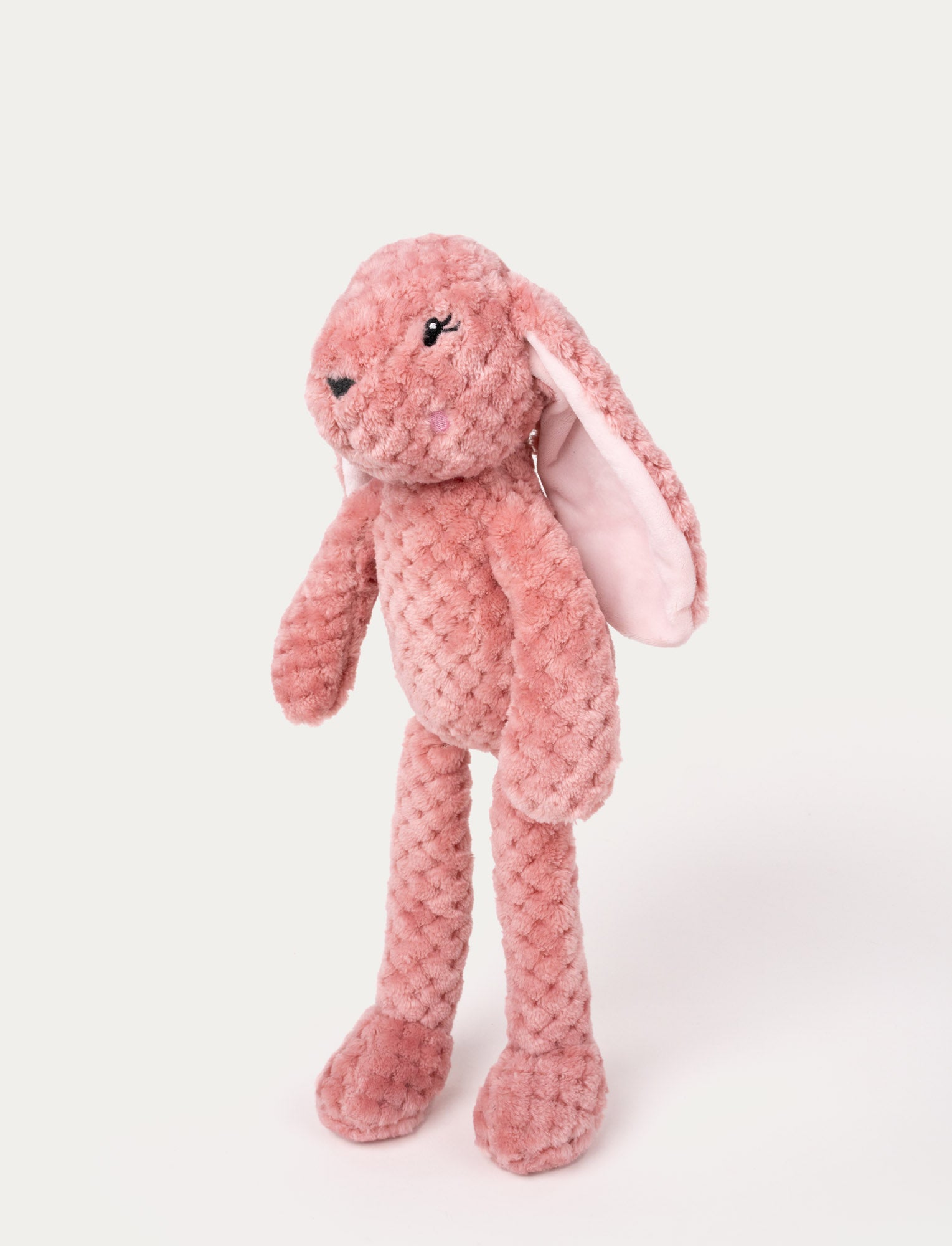  Image of Vera, Bunny