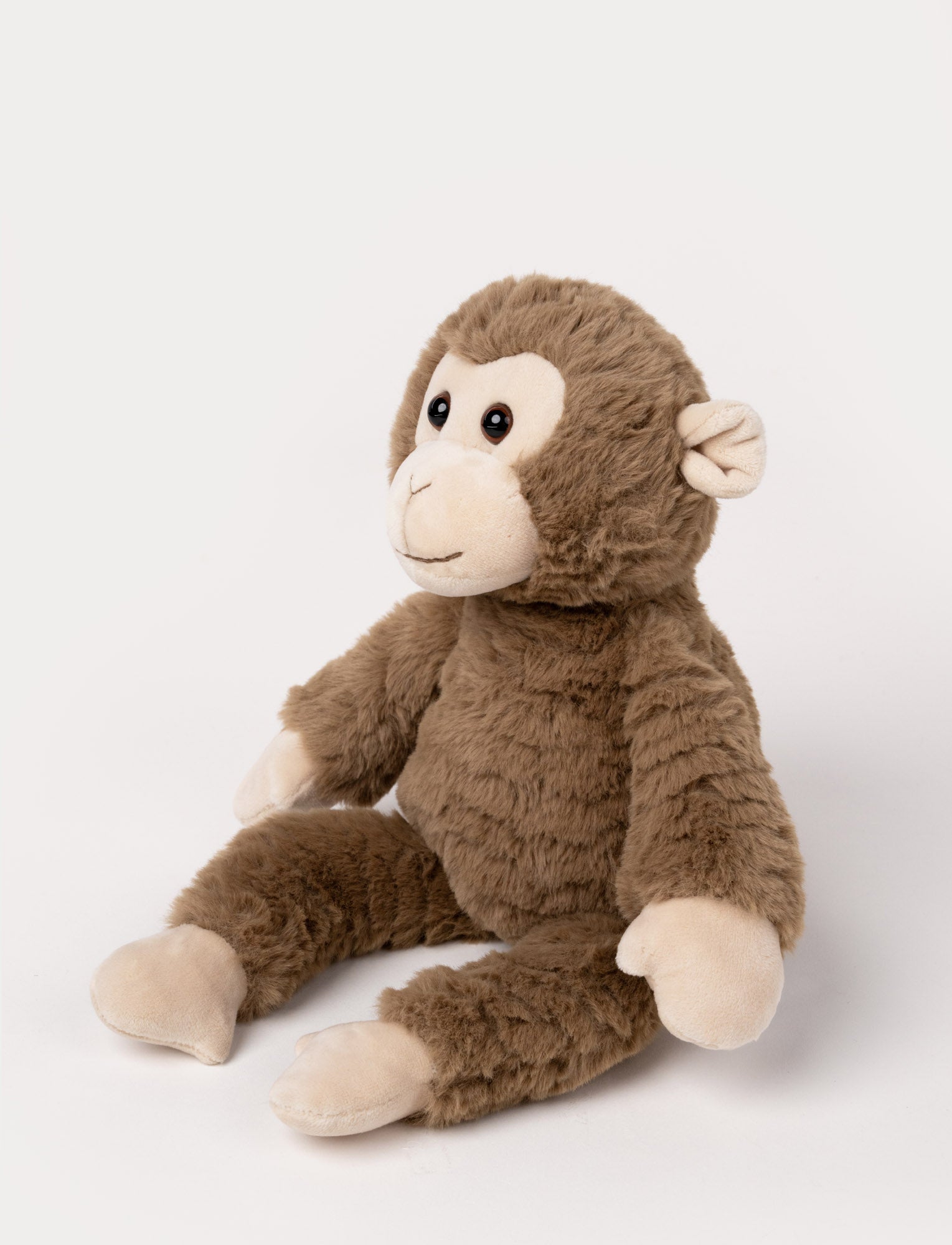  Image of Nicke, Monkey