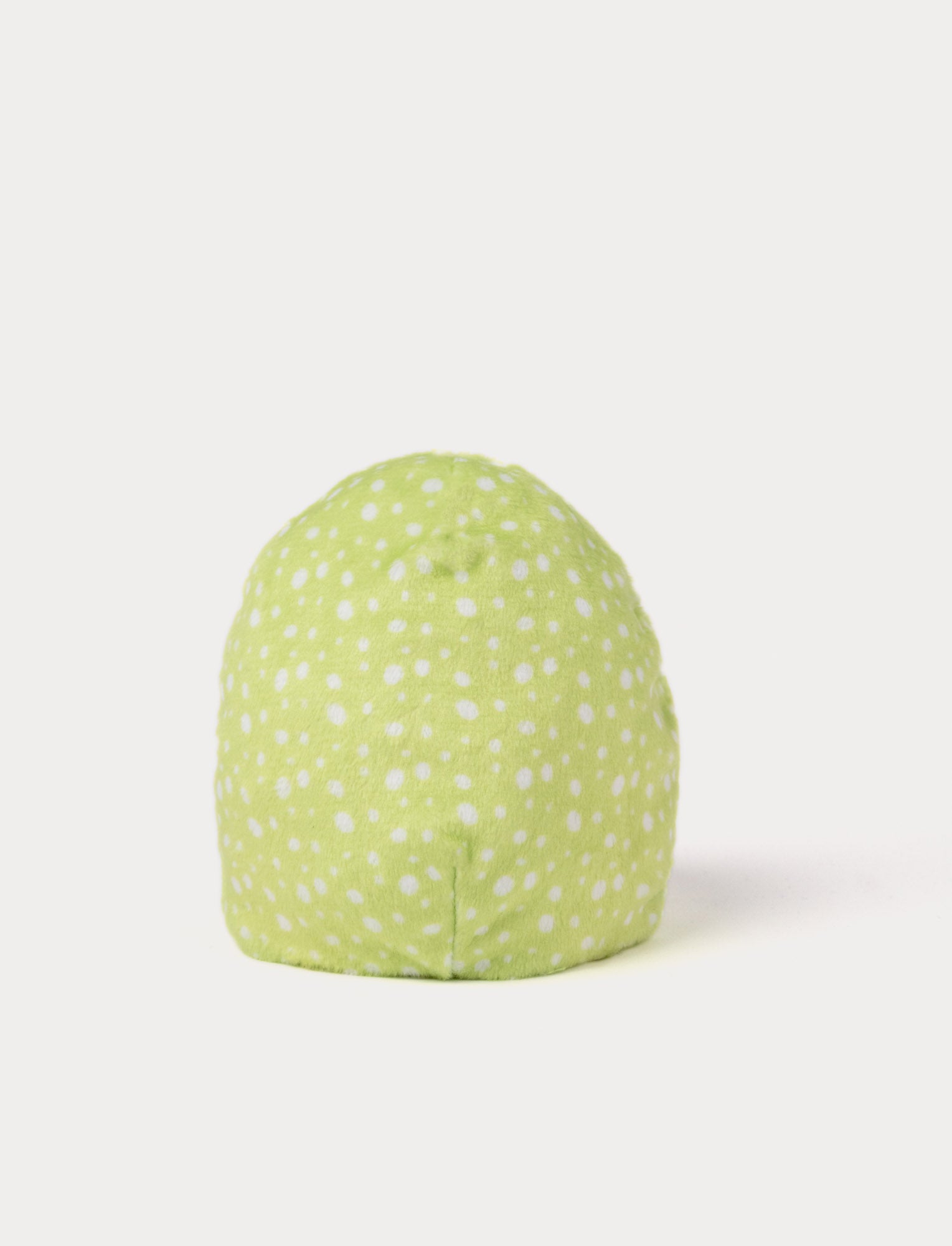  Image of Reversible Chicken in an Egg