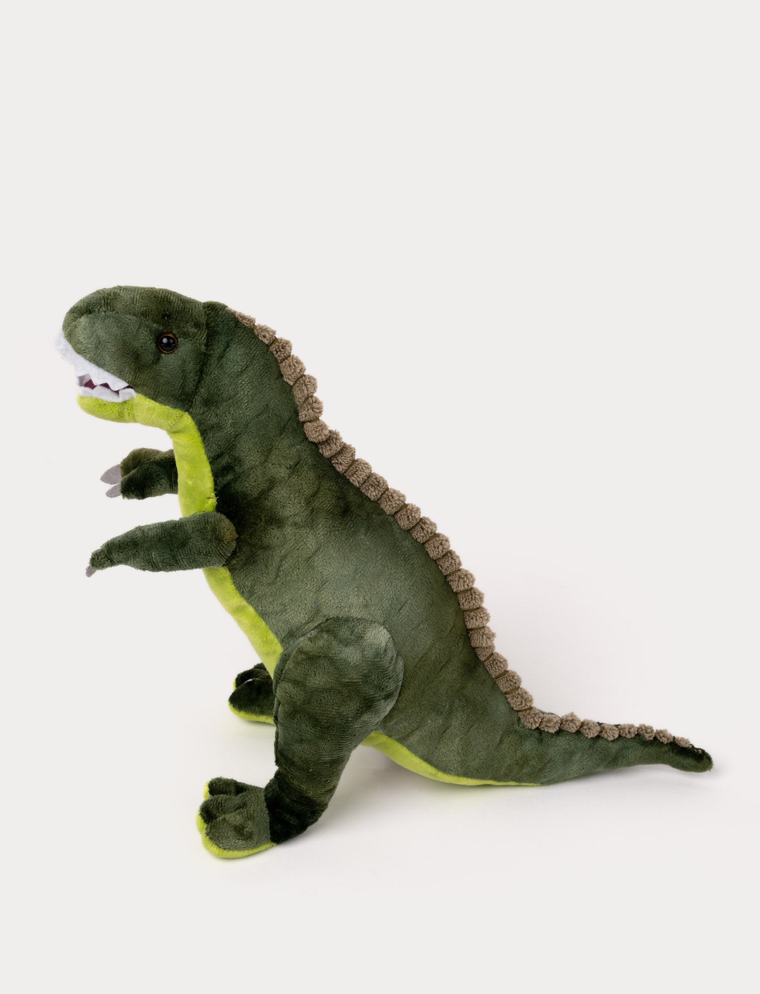  Image of Teddy Dino