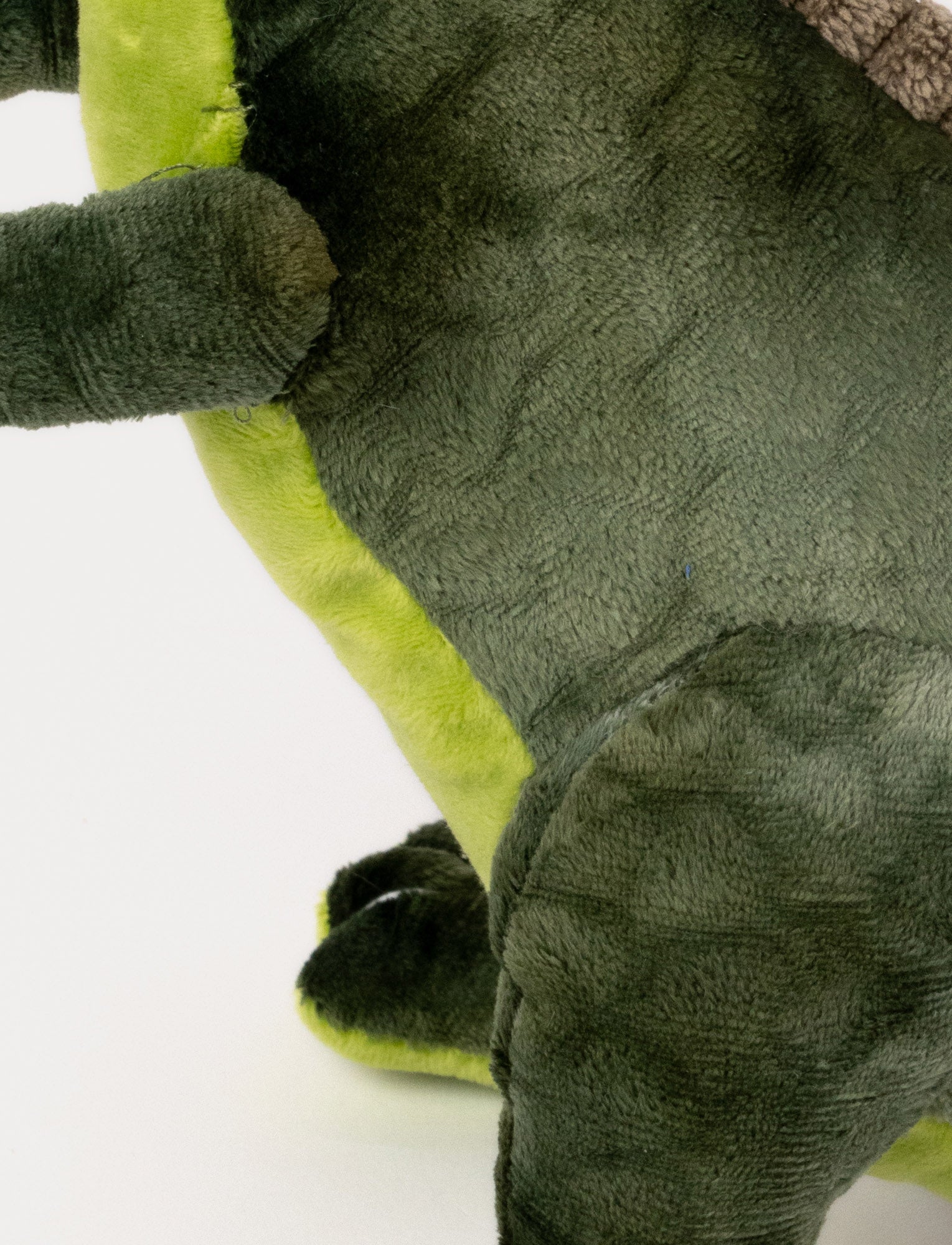  Image of Teddy Dino
