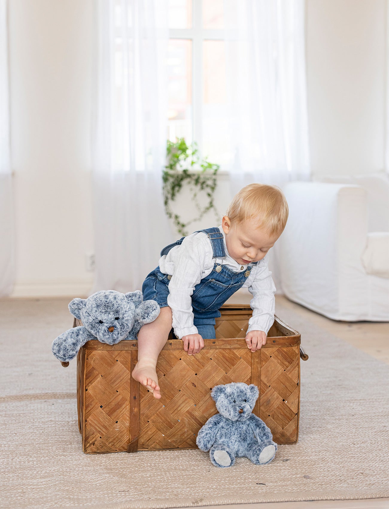Billy blåbär, Nalle, Liten