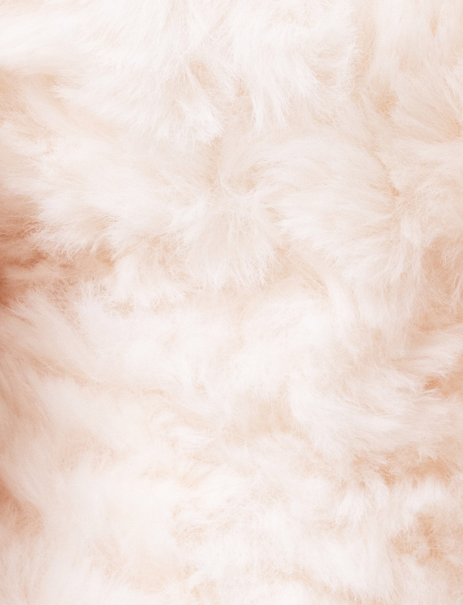  Image of Linnea, Bunny