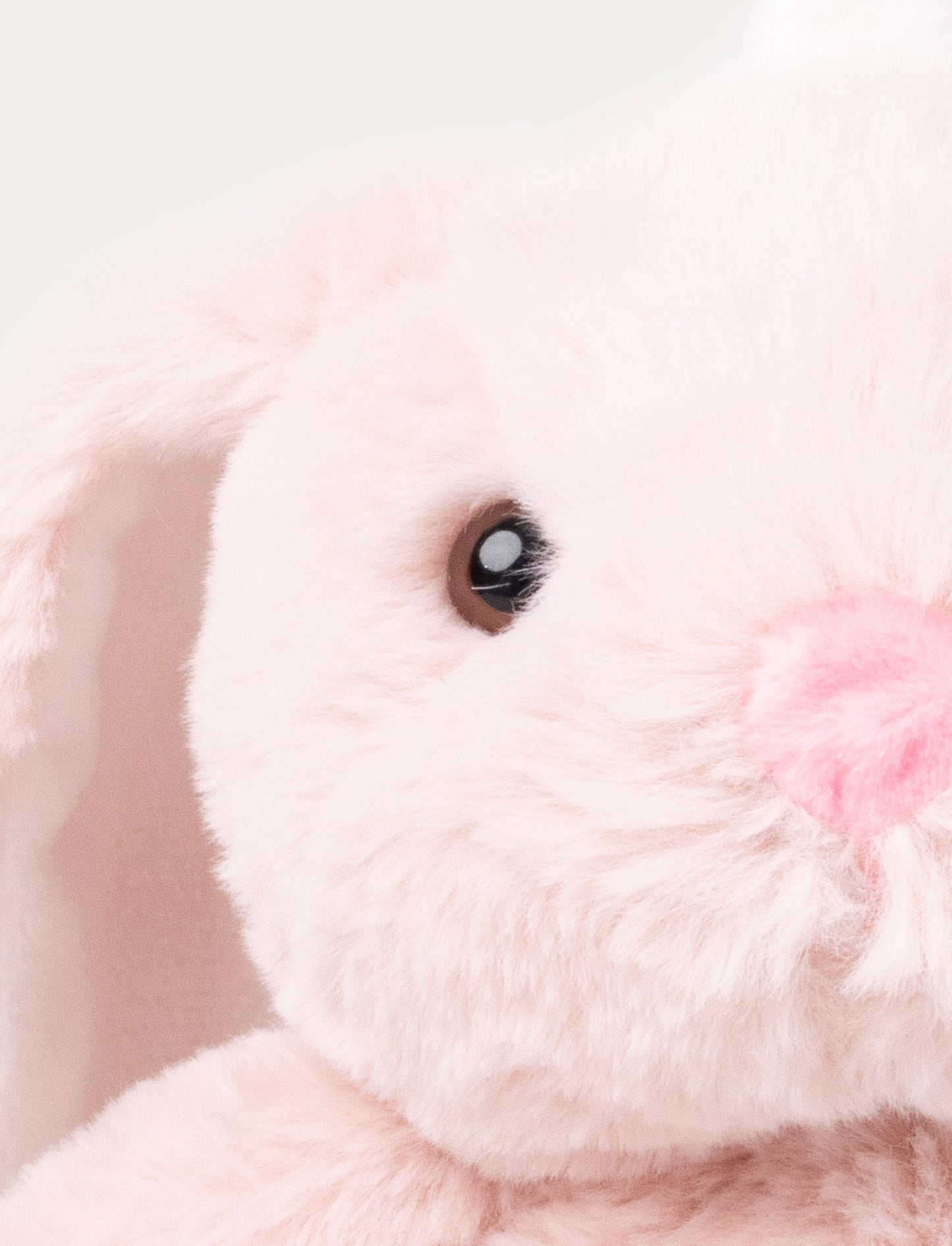 Lollan, Music Box, Bunny