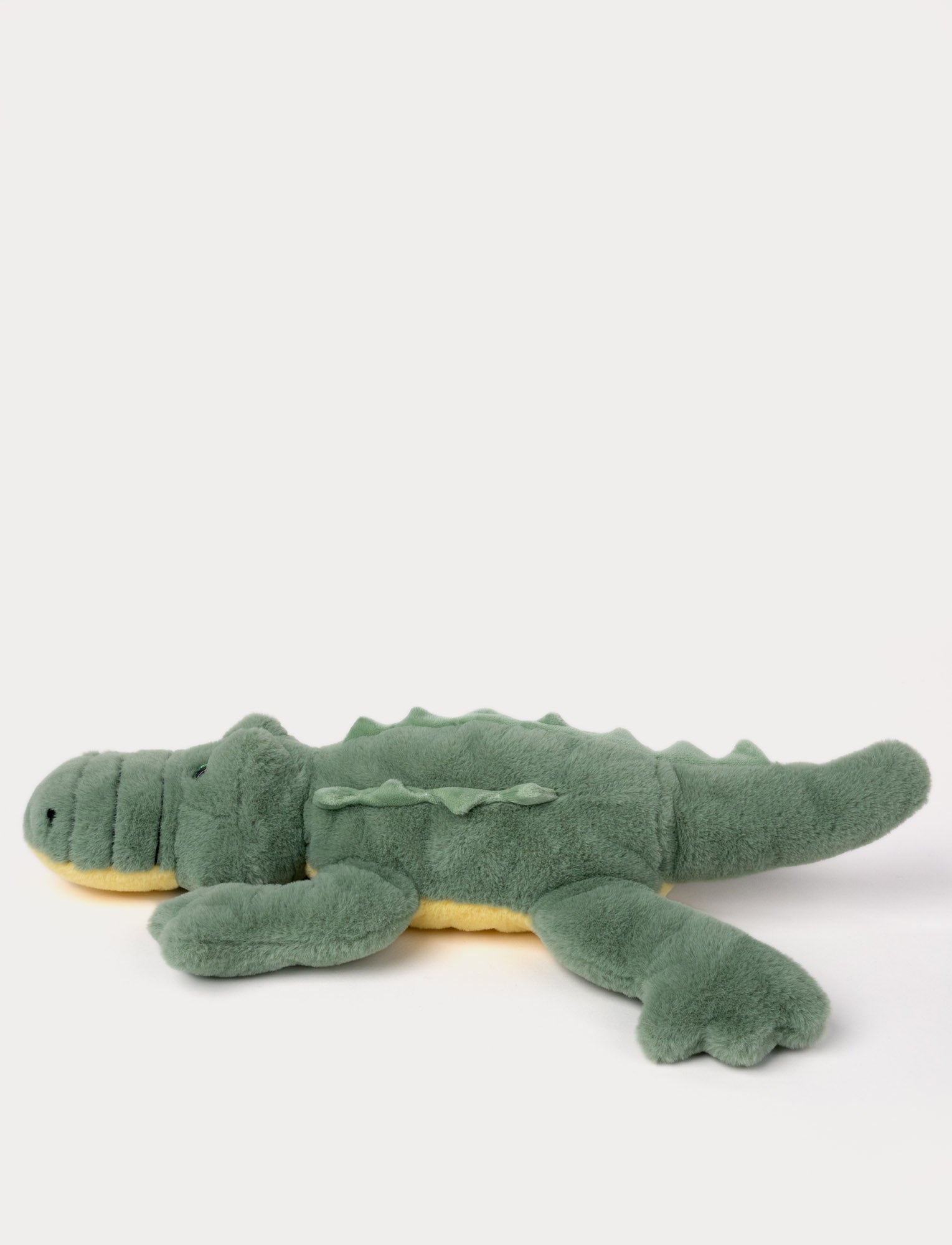  Image of Crocodile